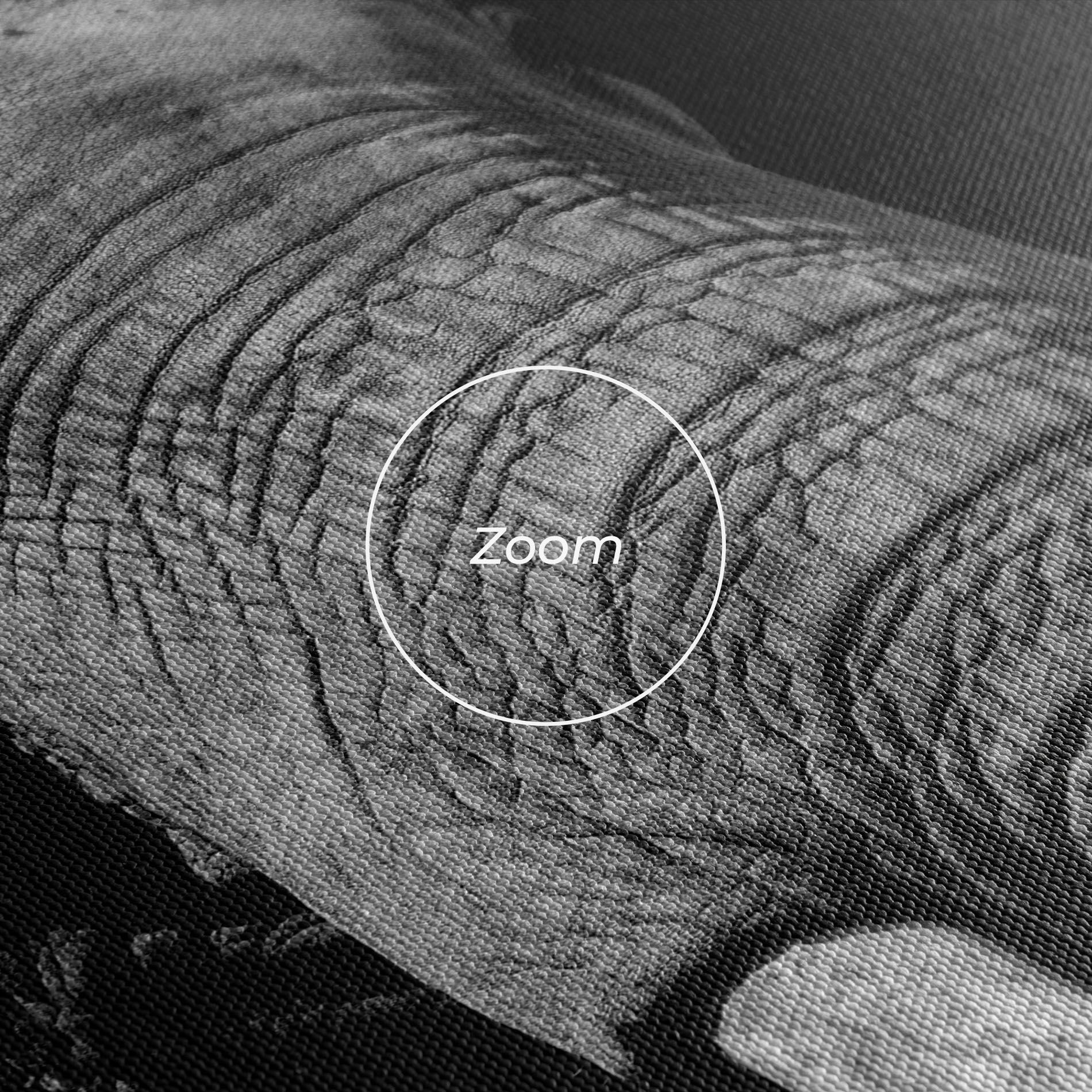 Shadow Elephant mockup 3