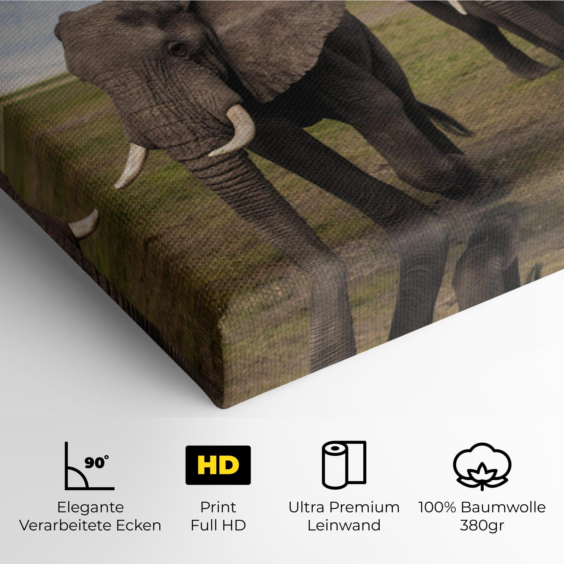 Leinwandbild Elephant Landscape mockup 4