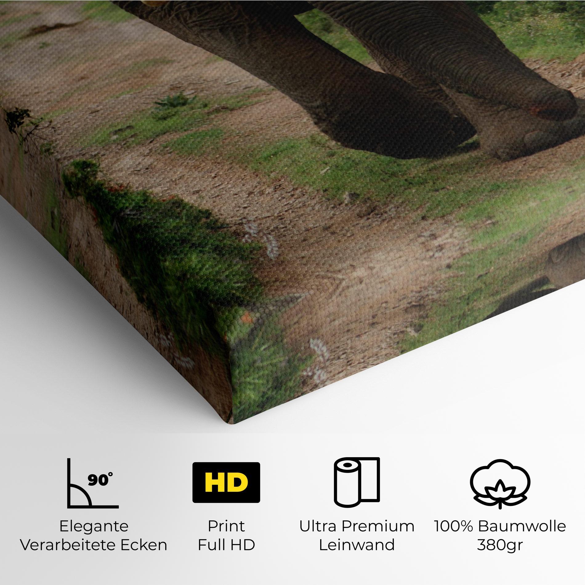 Leinwandbild Elephant Safari mockup 4