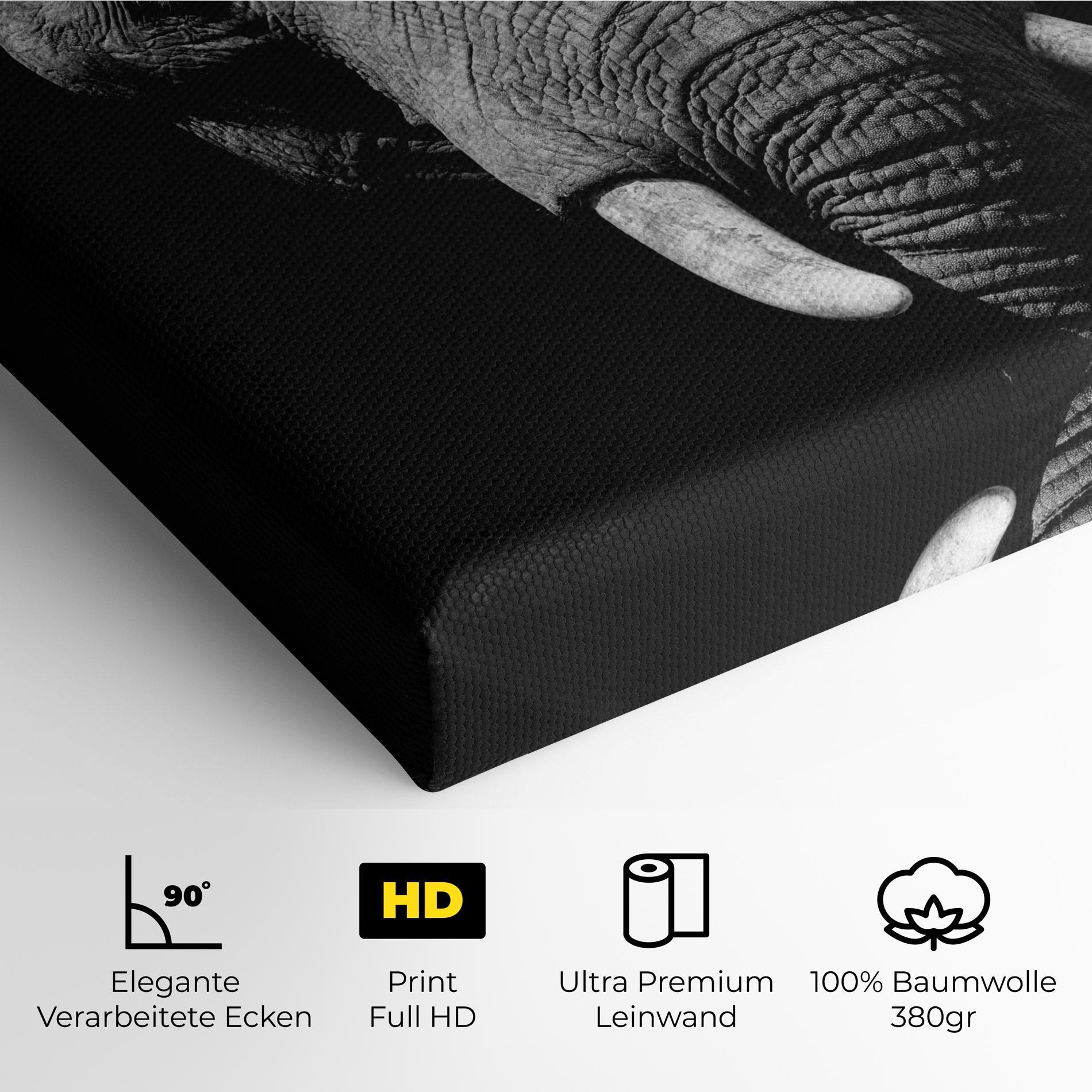 Leinwandbild Shadow Elephant mockup 4