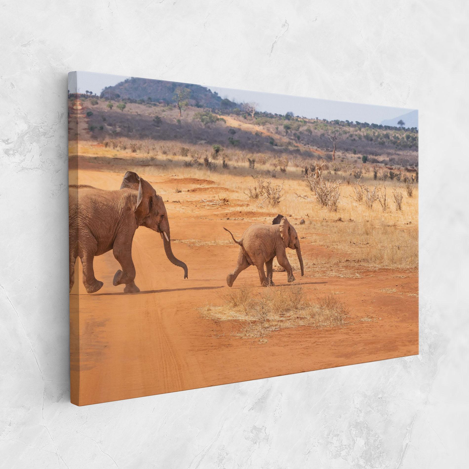 Leinwandbild Desert Safari mockup 1