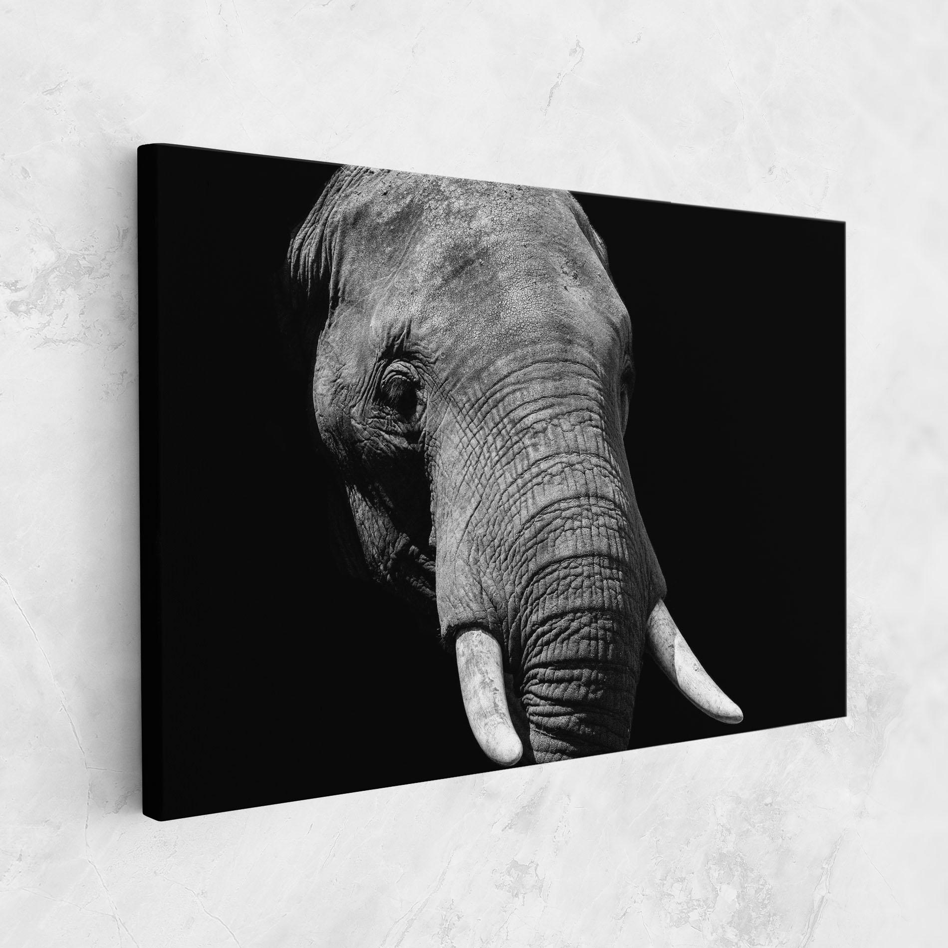 Leinwandbild Shadow Elephant mockup 1