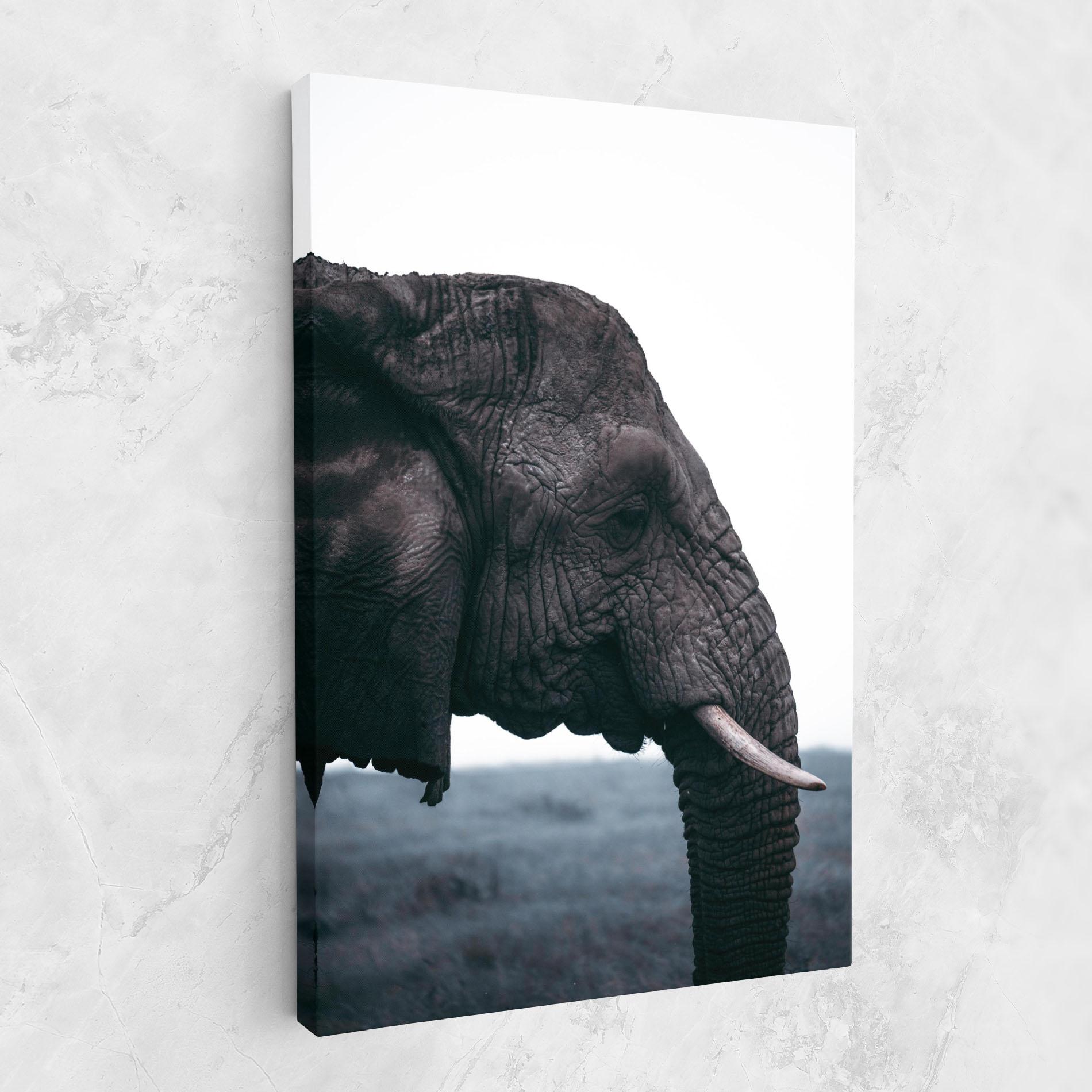 Leinwandbild Close Grey Eelephant mockup 1