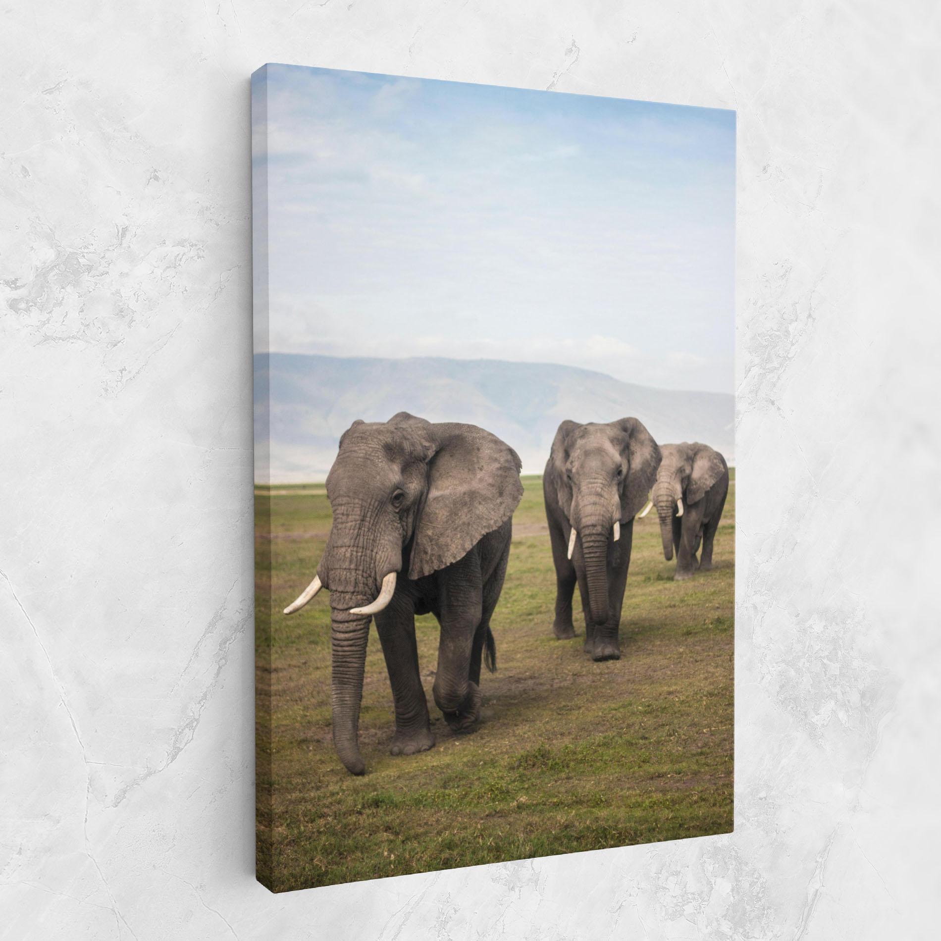 Leinwandbild Elephant Landscape mockup 1