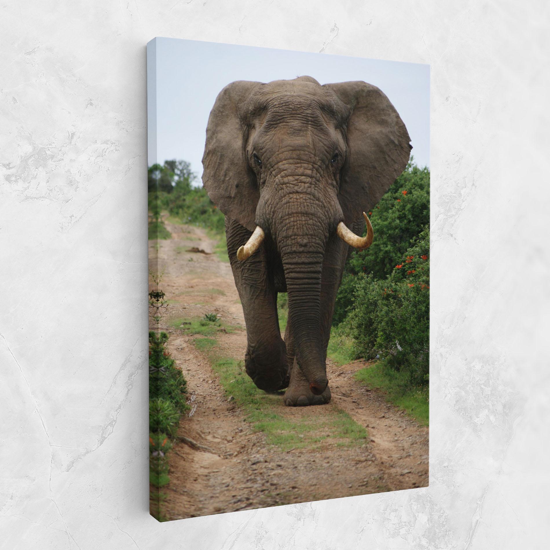 Leinwandbild Elephant Safari mockup 1