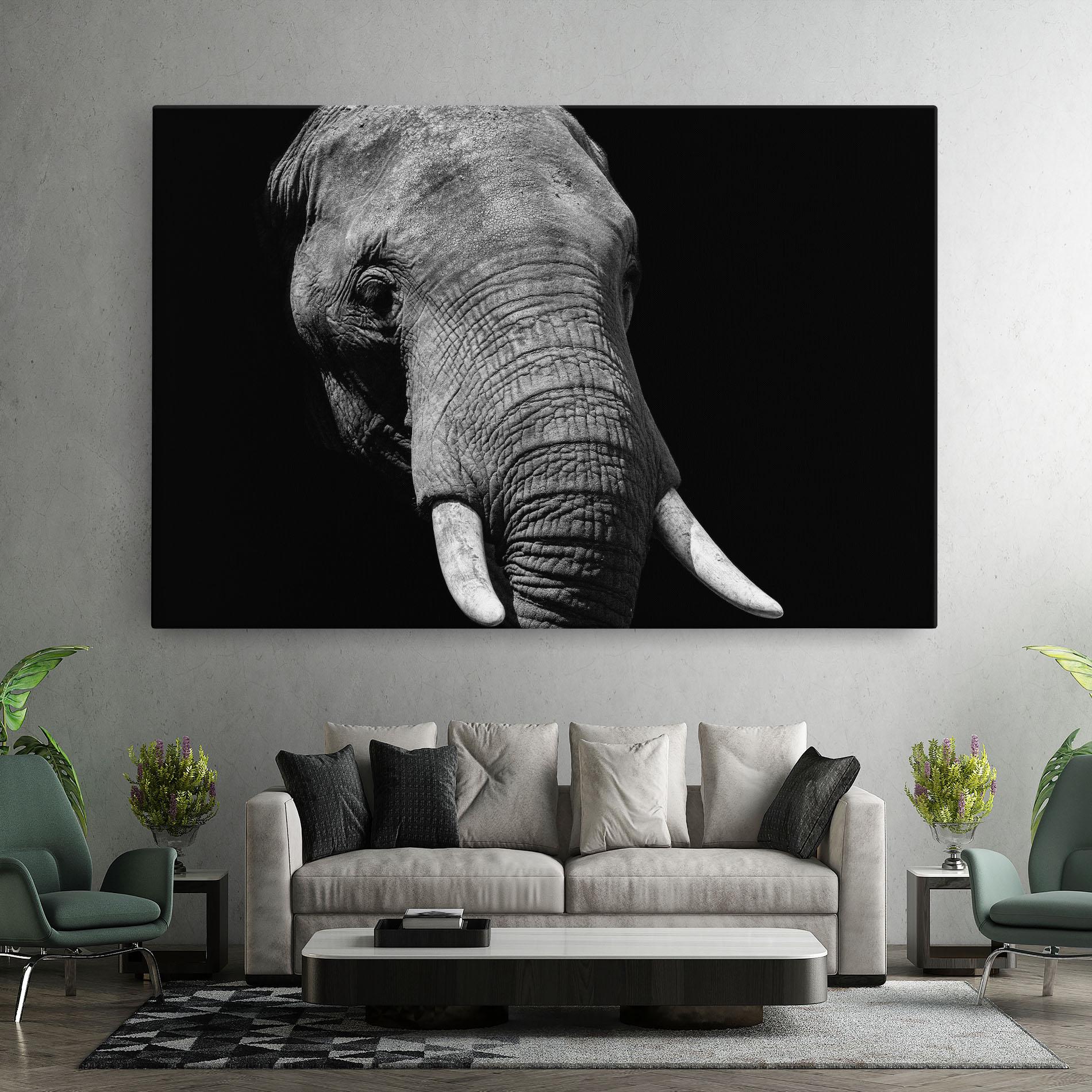 Leinwandbild Shadow Elephant mockup 7