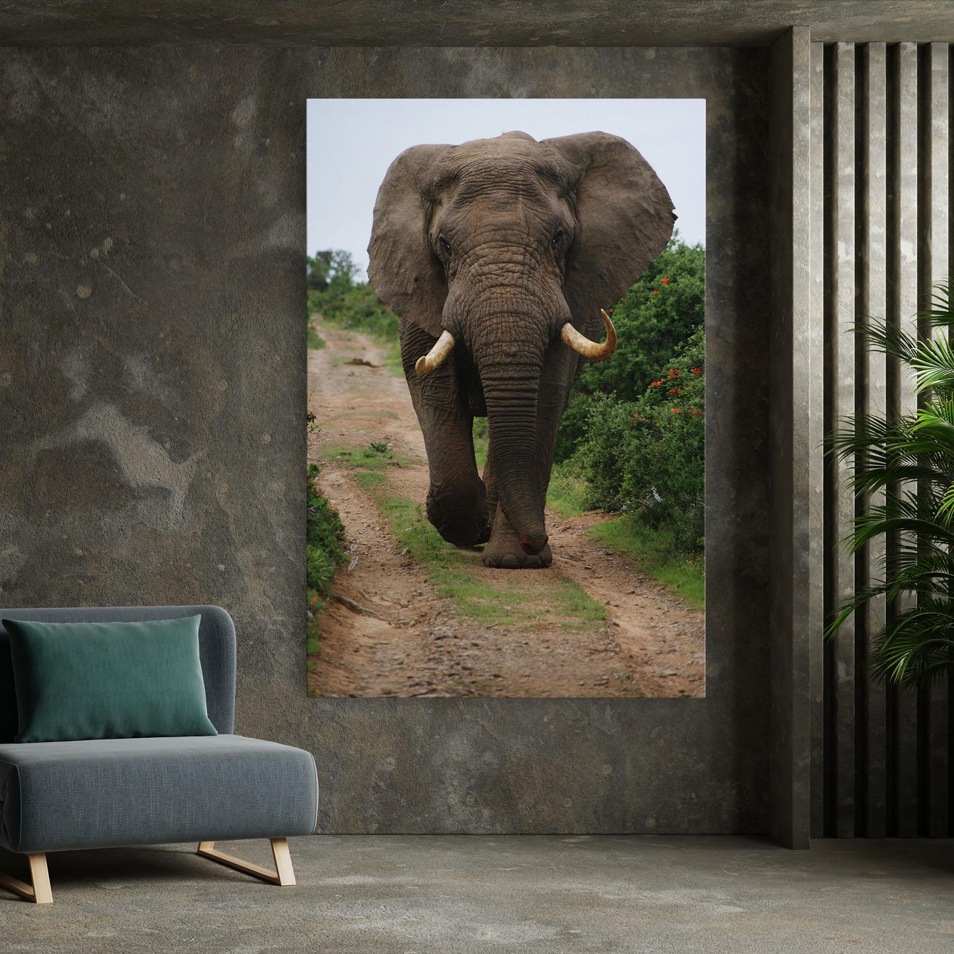 Leinwandbild Elephant Safari mockup 7