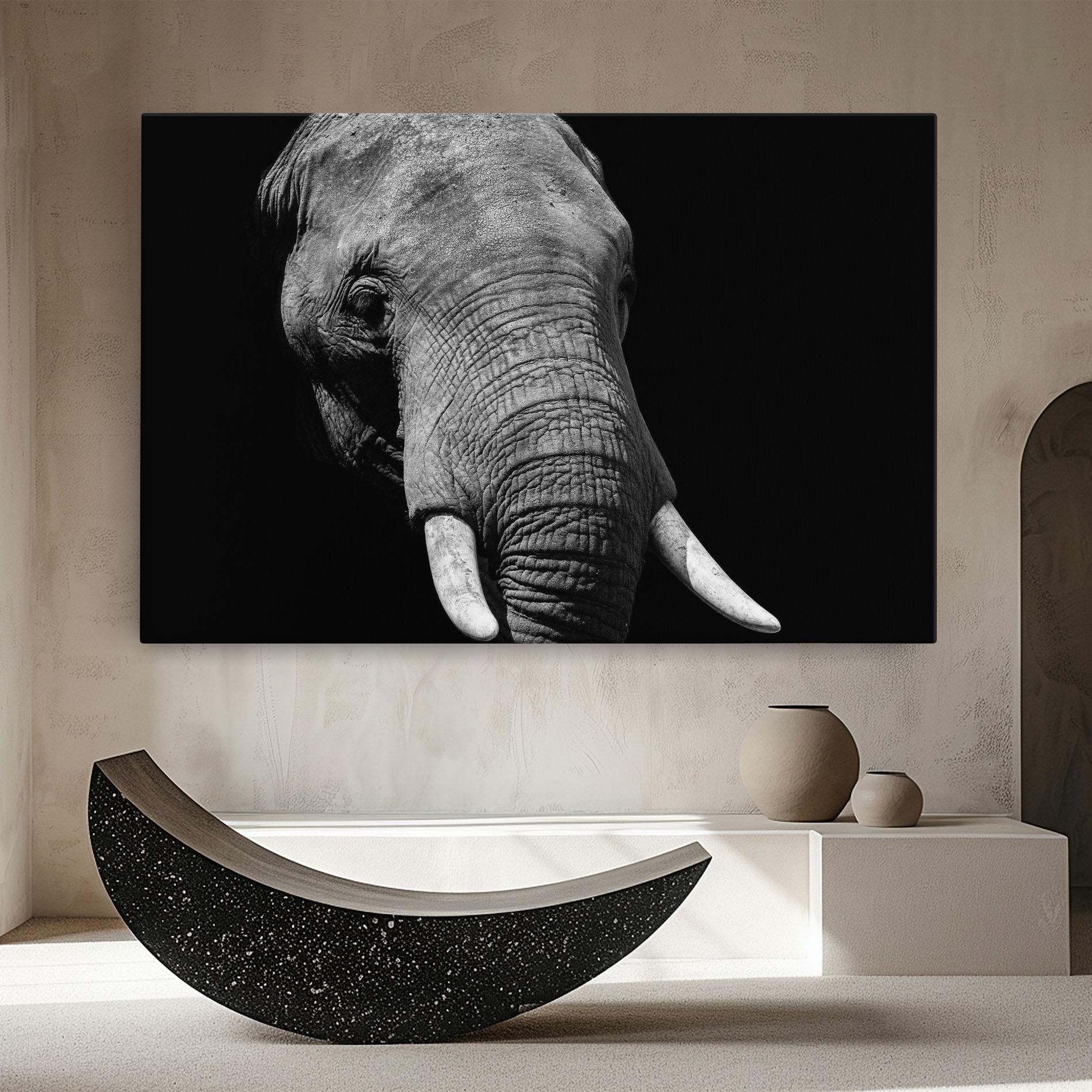 Leinwandbild Shadow Elephant mockup 8