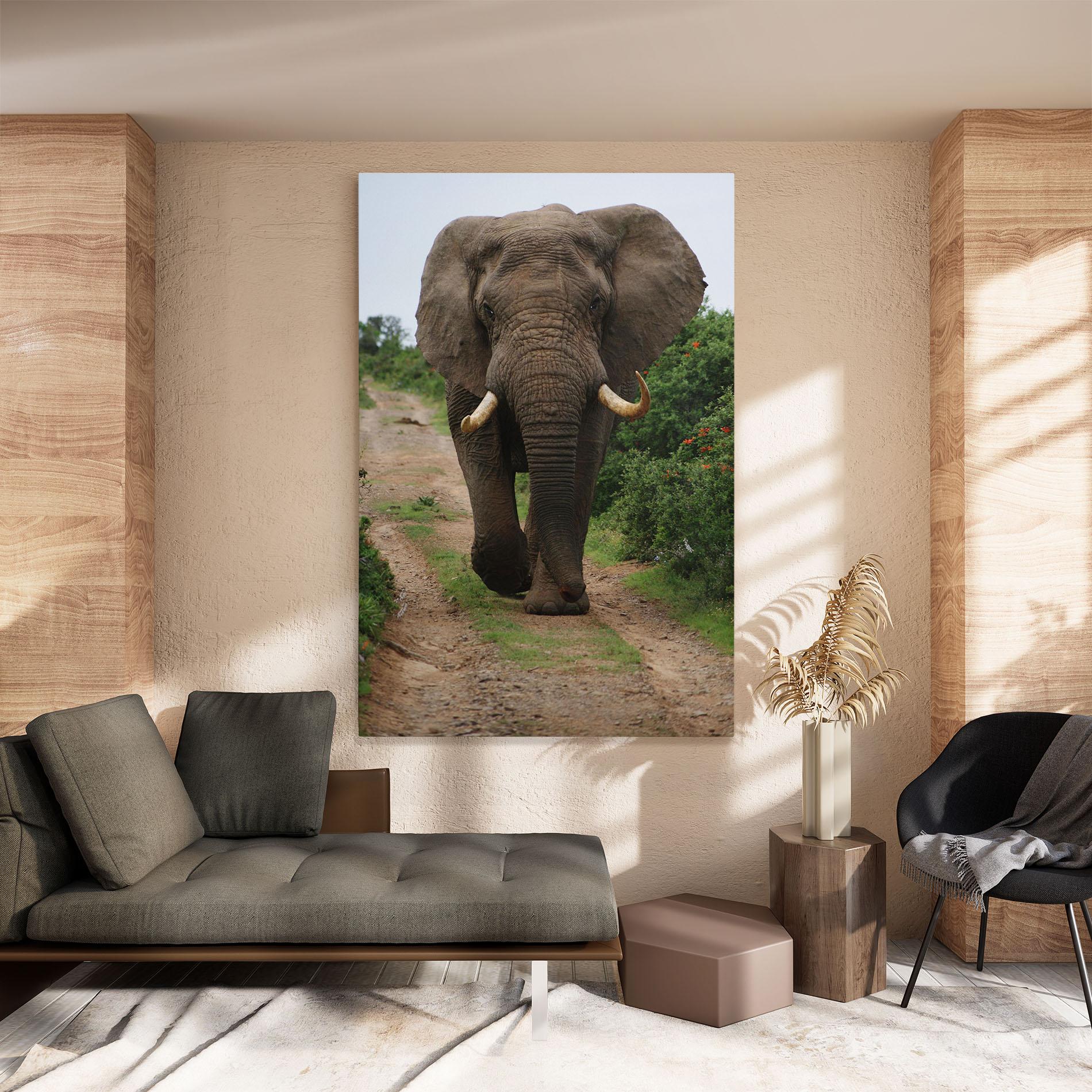 Leinwandbild Elephant Safari mockup 8