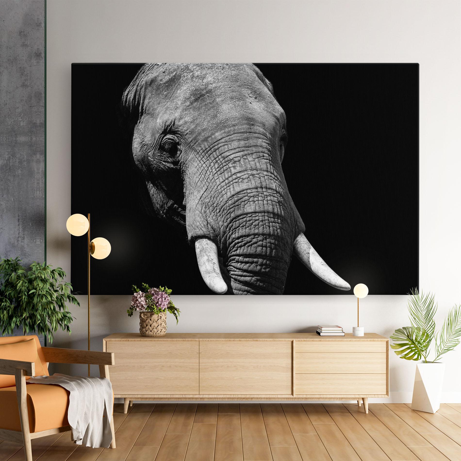 Leinwandbild Shadow Elephant mockup 9