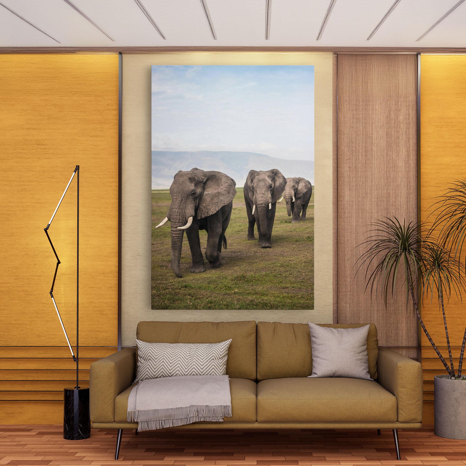 Leinwandbild Elephant Landscape mockup 9