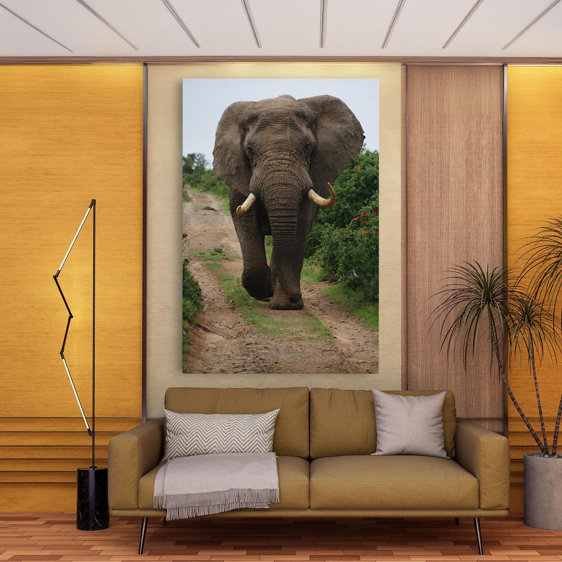 Leinwandbild Elephant Safari mockup 9