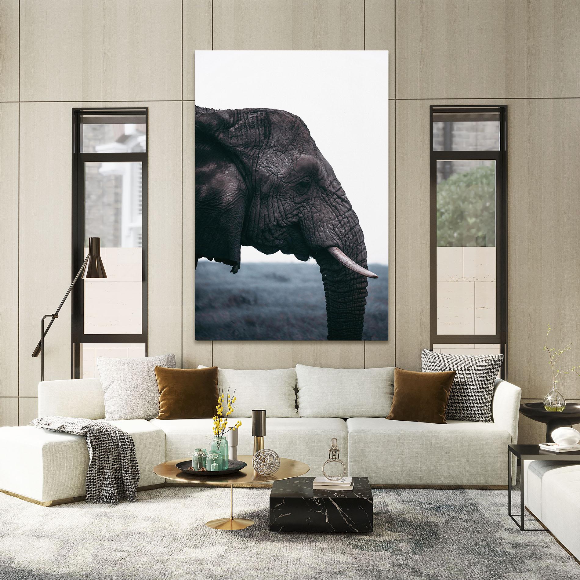 Leinwandbild Close Grey Eelephant mockup 2