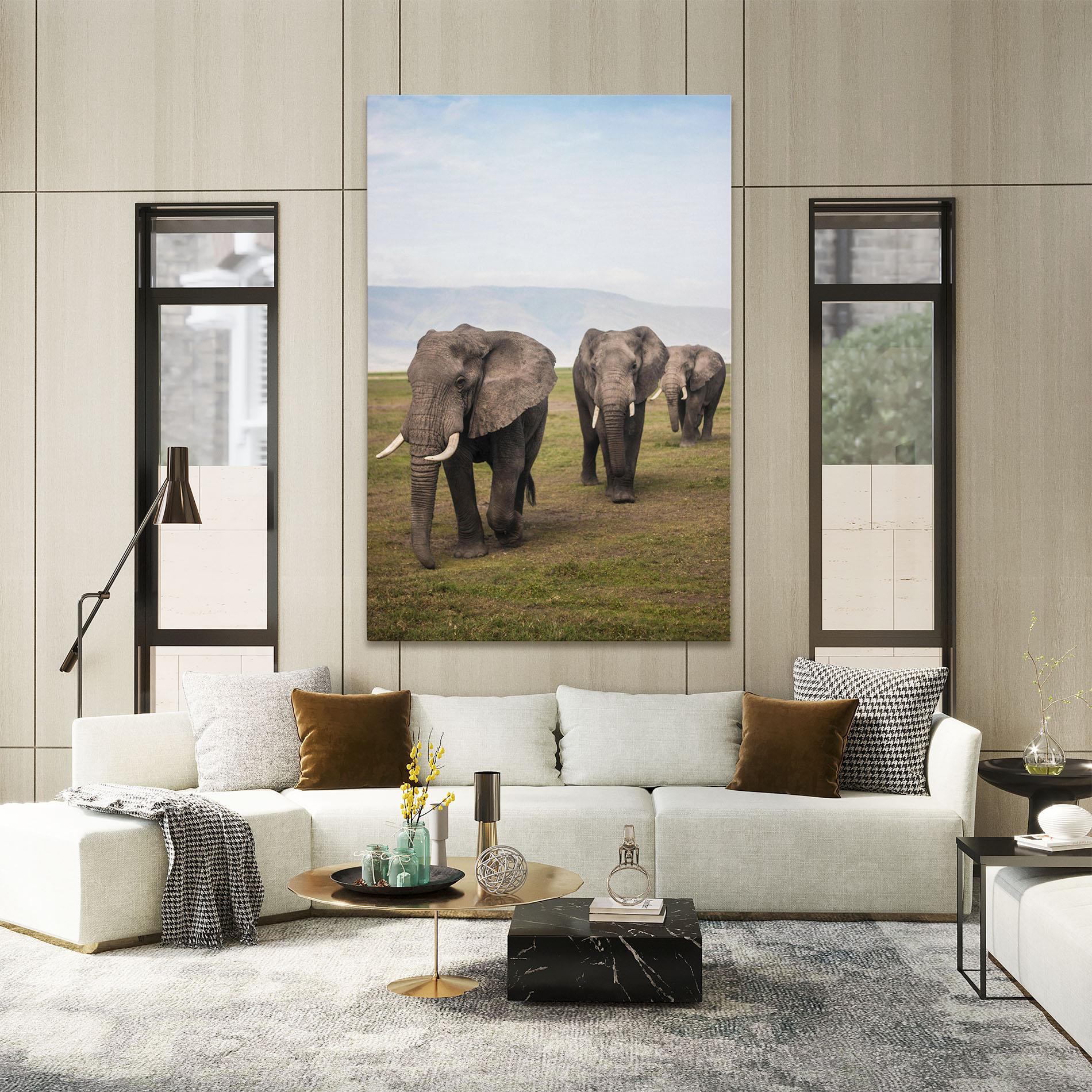 Leinwandbild Elephant Landscape mockup 2