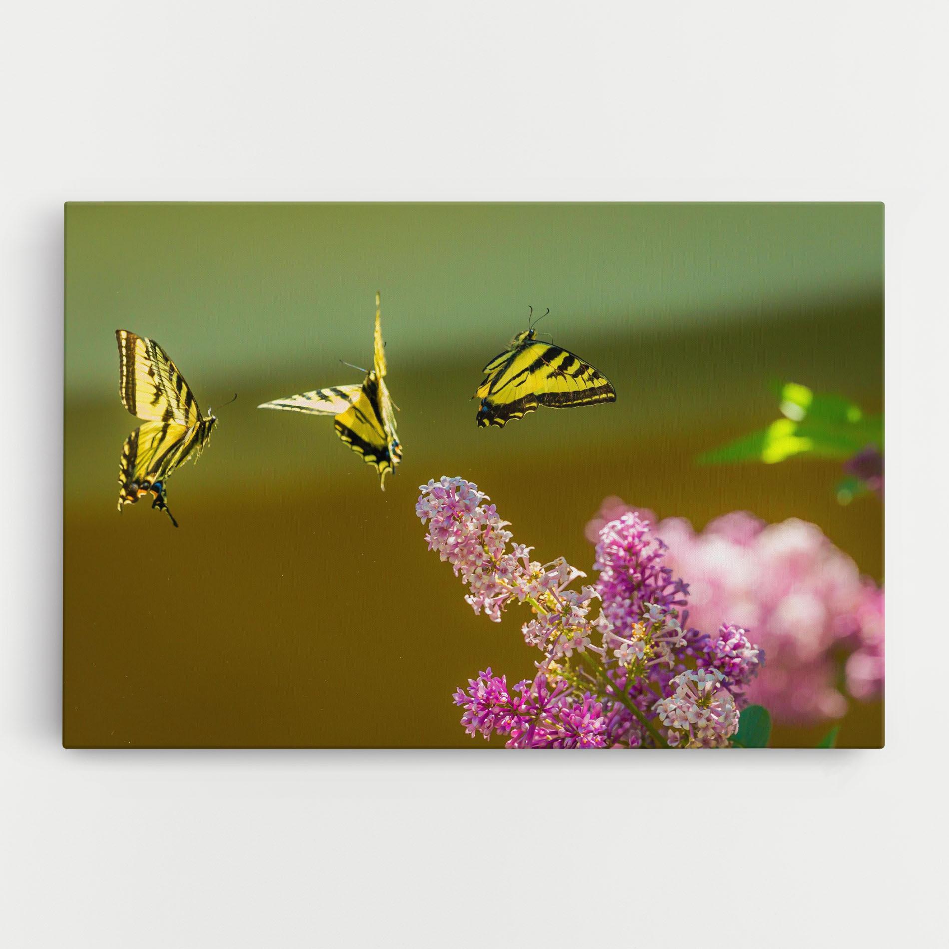 Leinwandbild 3 Yellow Butterflies mockup 0