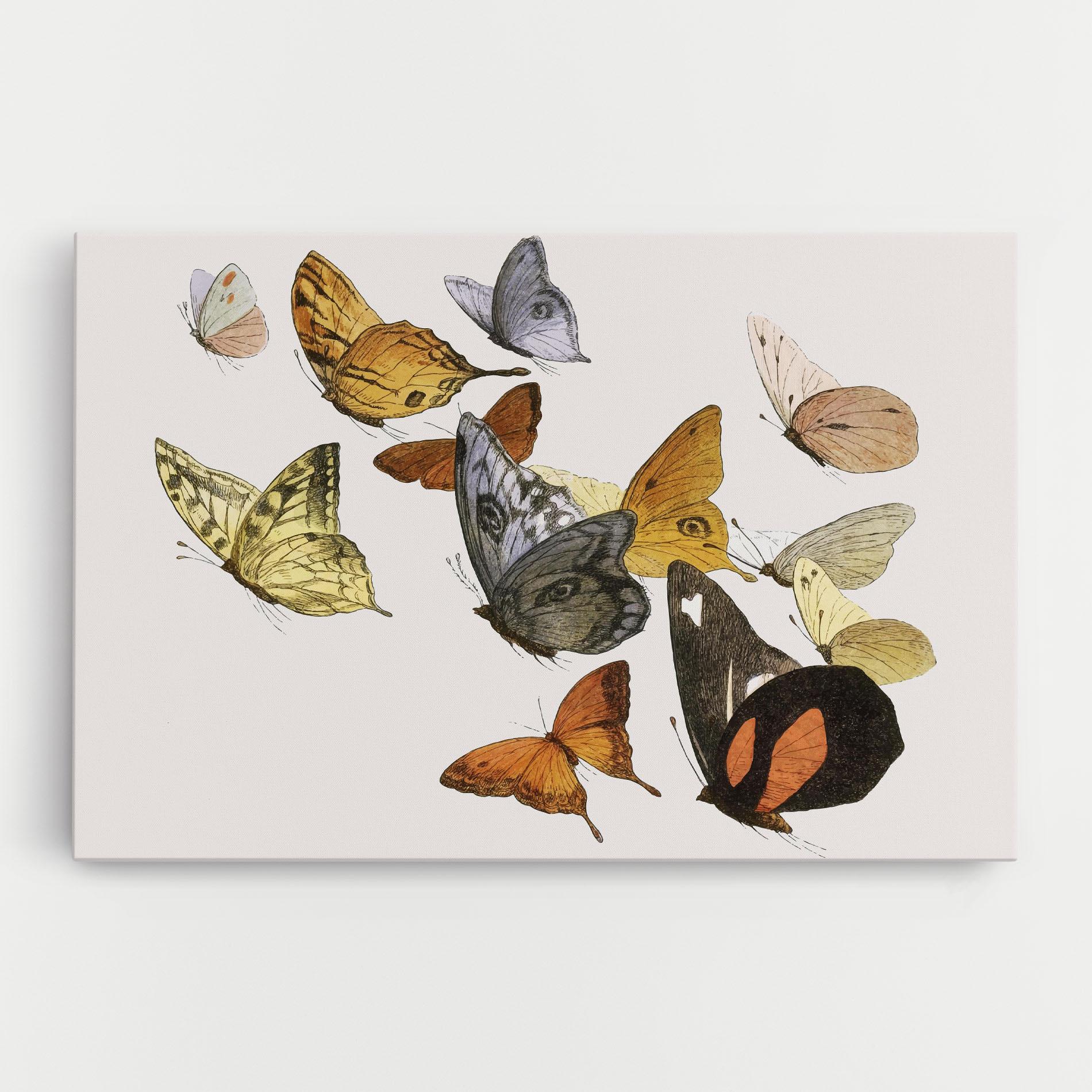 Leinwandbild Butterfly Floating mockup 0