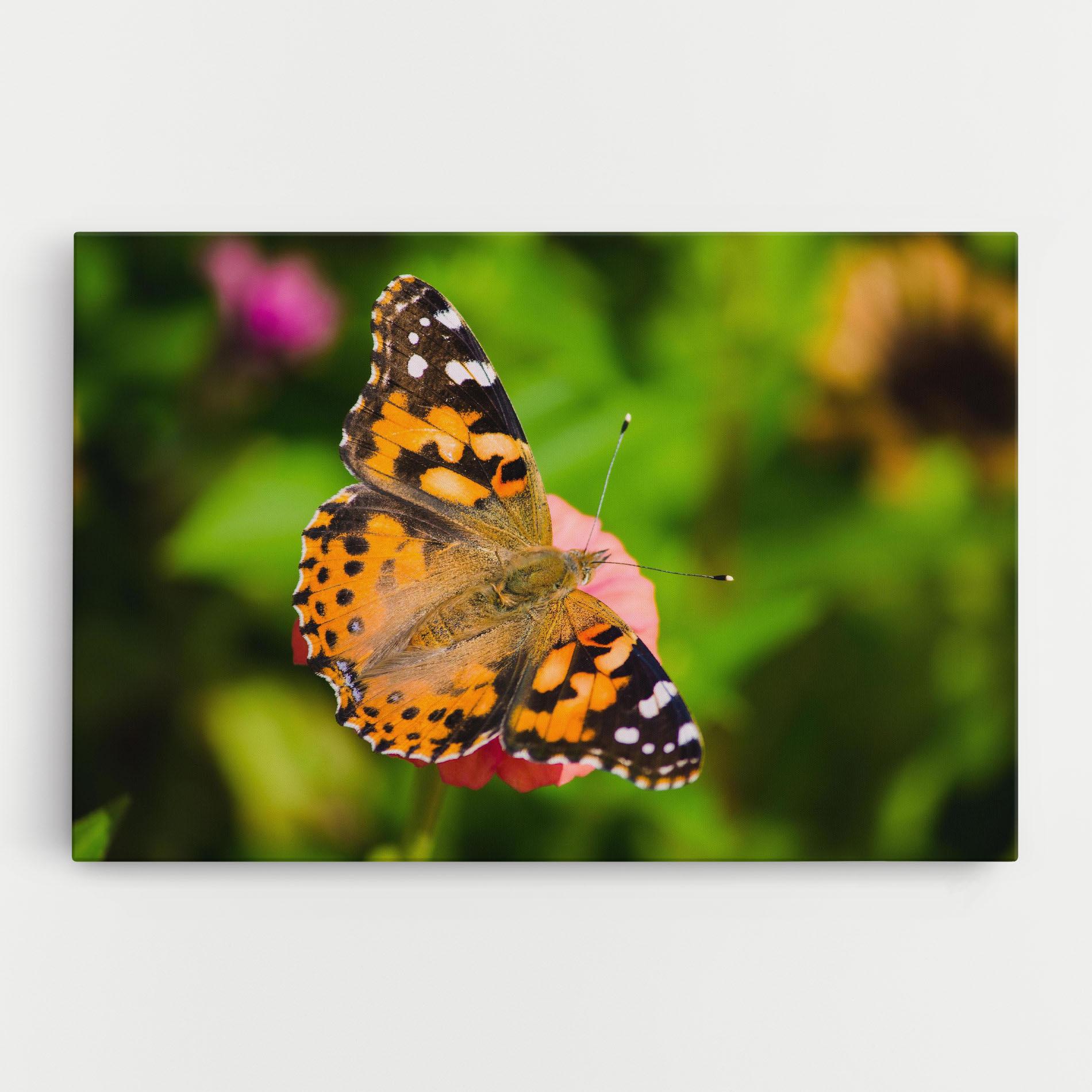Leinwandbild Butterfly On Flower mockup 0