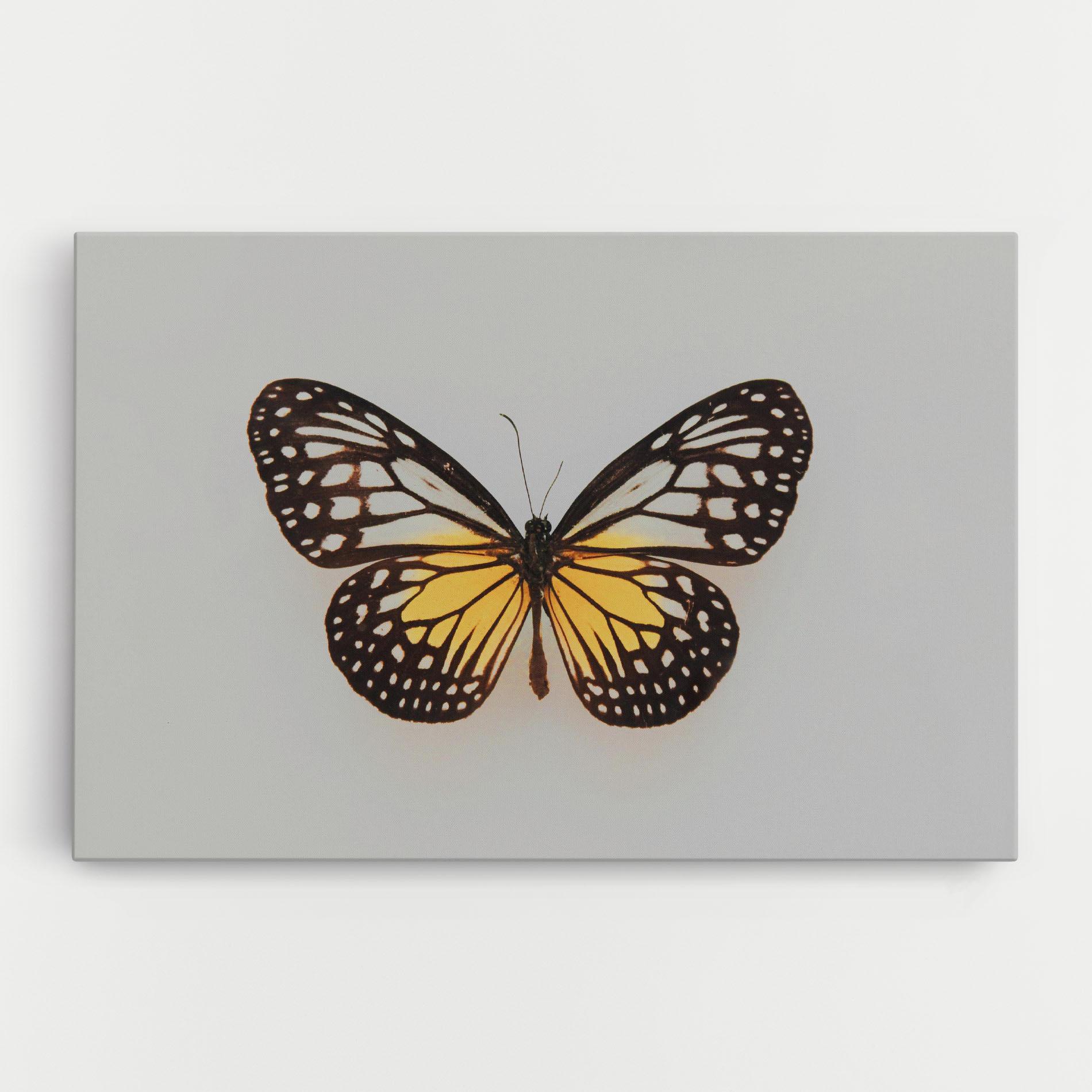 Leinwandbild Butterfly On Grey mockup 0
