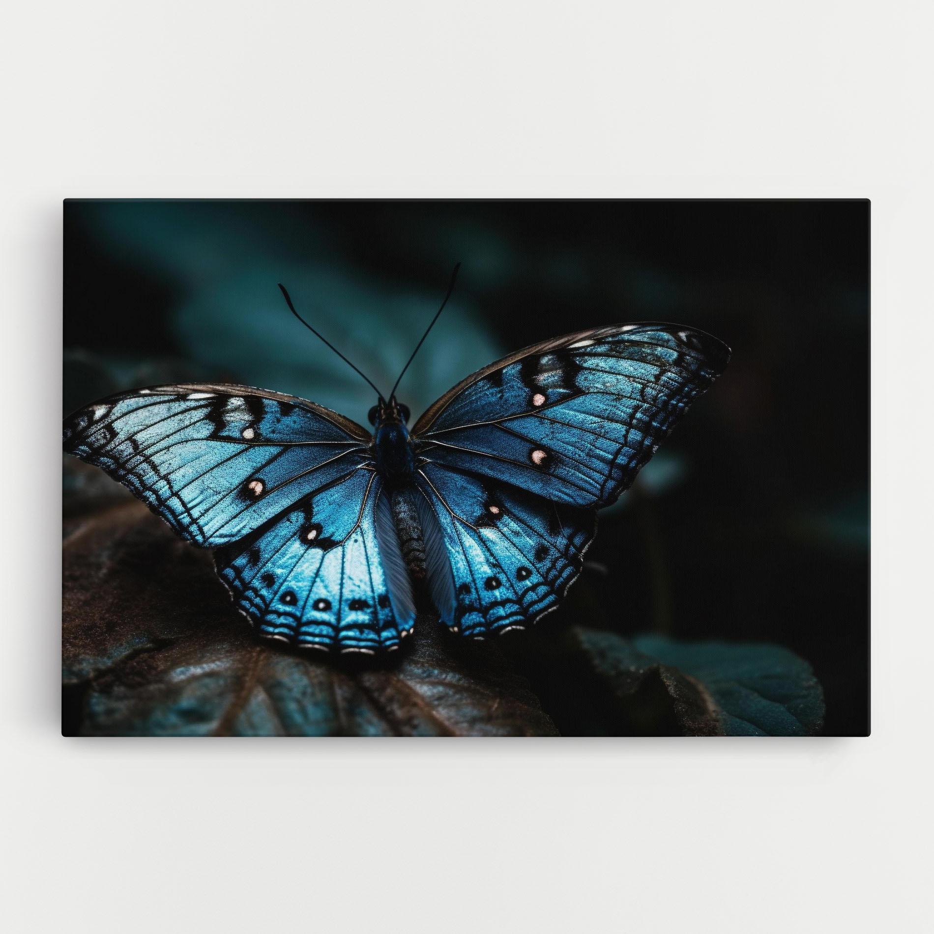 Leinwandbild Dark Blue Buterfly mockup 0