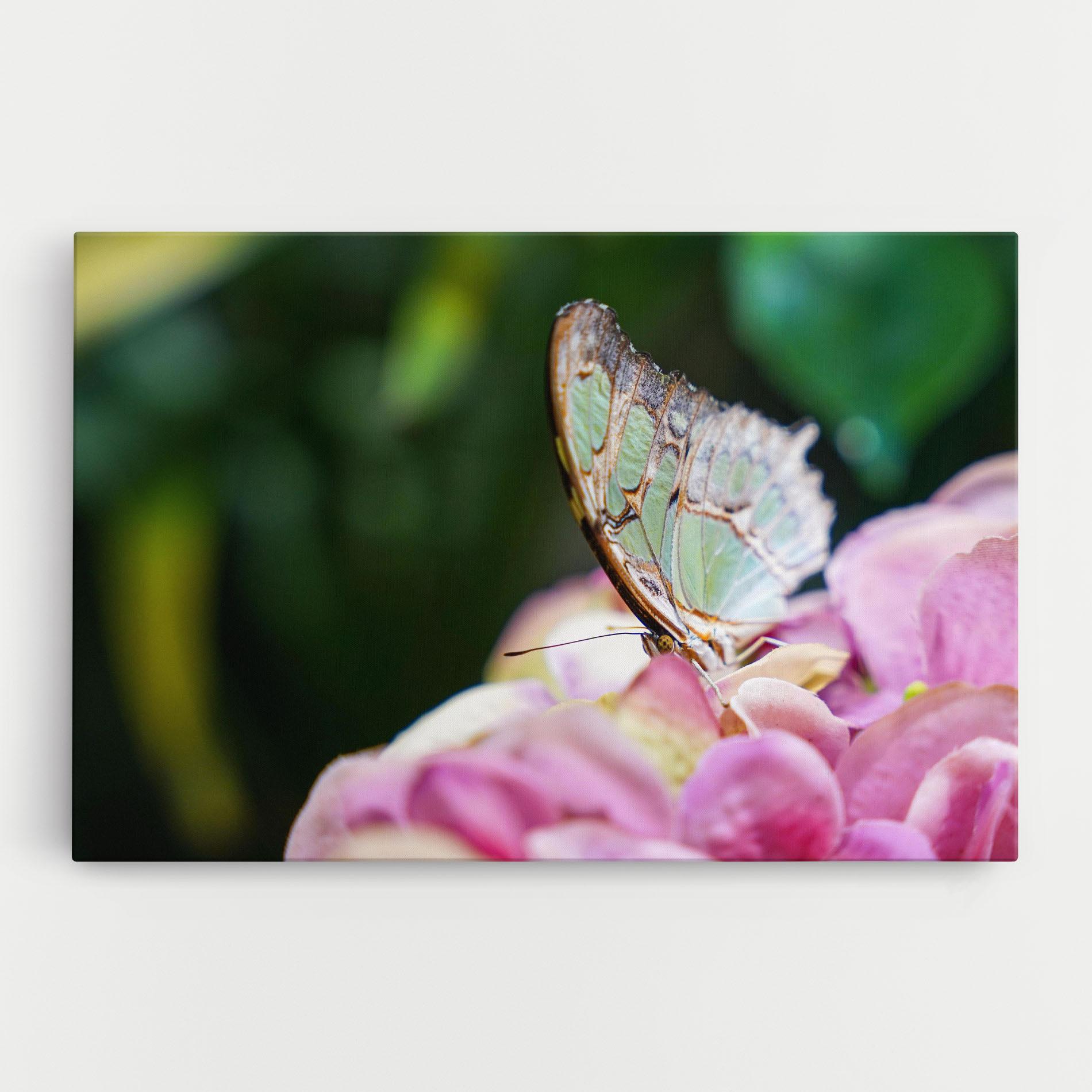 Leinwandbild Nazrin Babashova DiUUmQMFWys Unsplash mockup 0