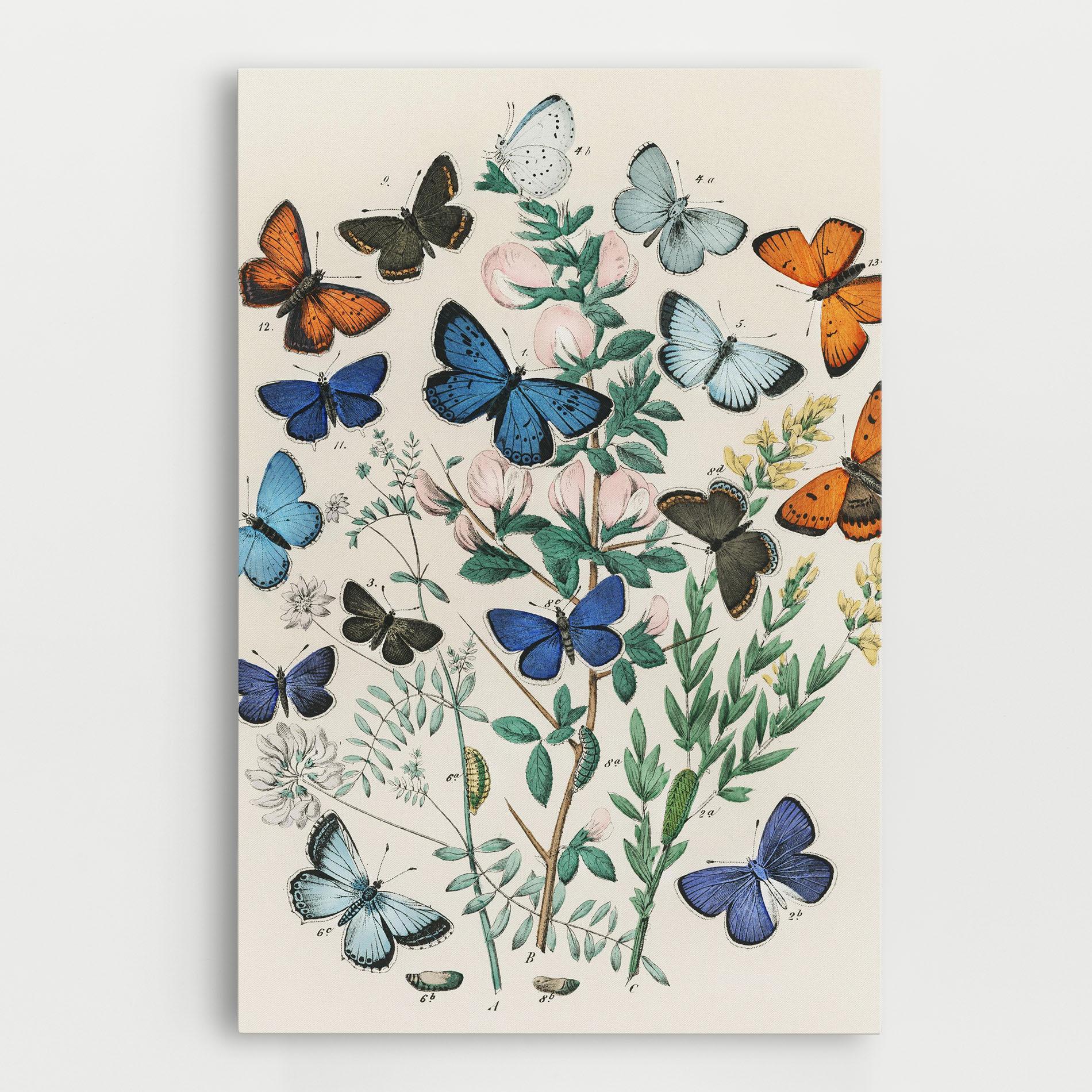 Leinwandbild Blue Orange Butterflies mockup 0