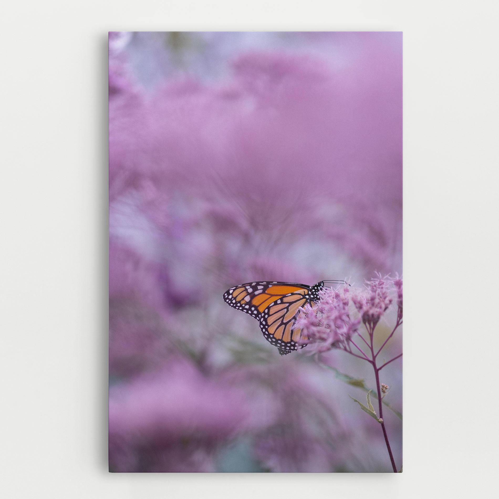 Leinwandbild Purple Flower Butterfly mockup 0
