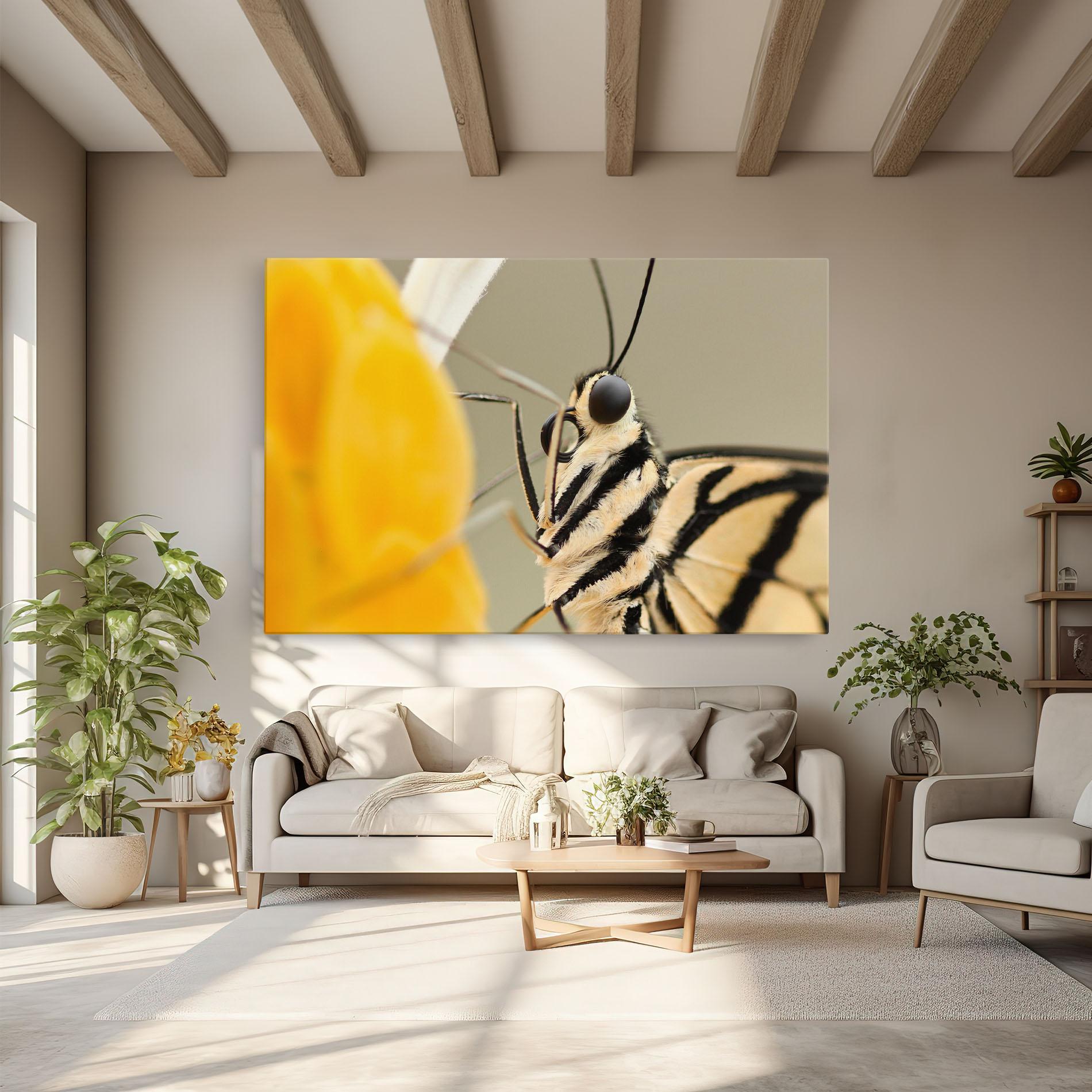 Leinwandbild Close Up Cream Butterfly mockup 6