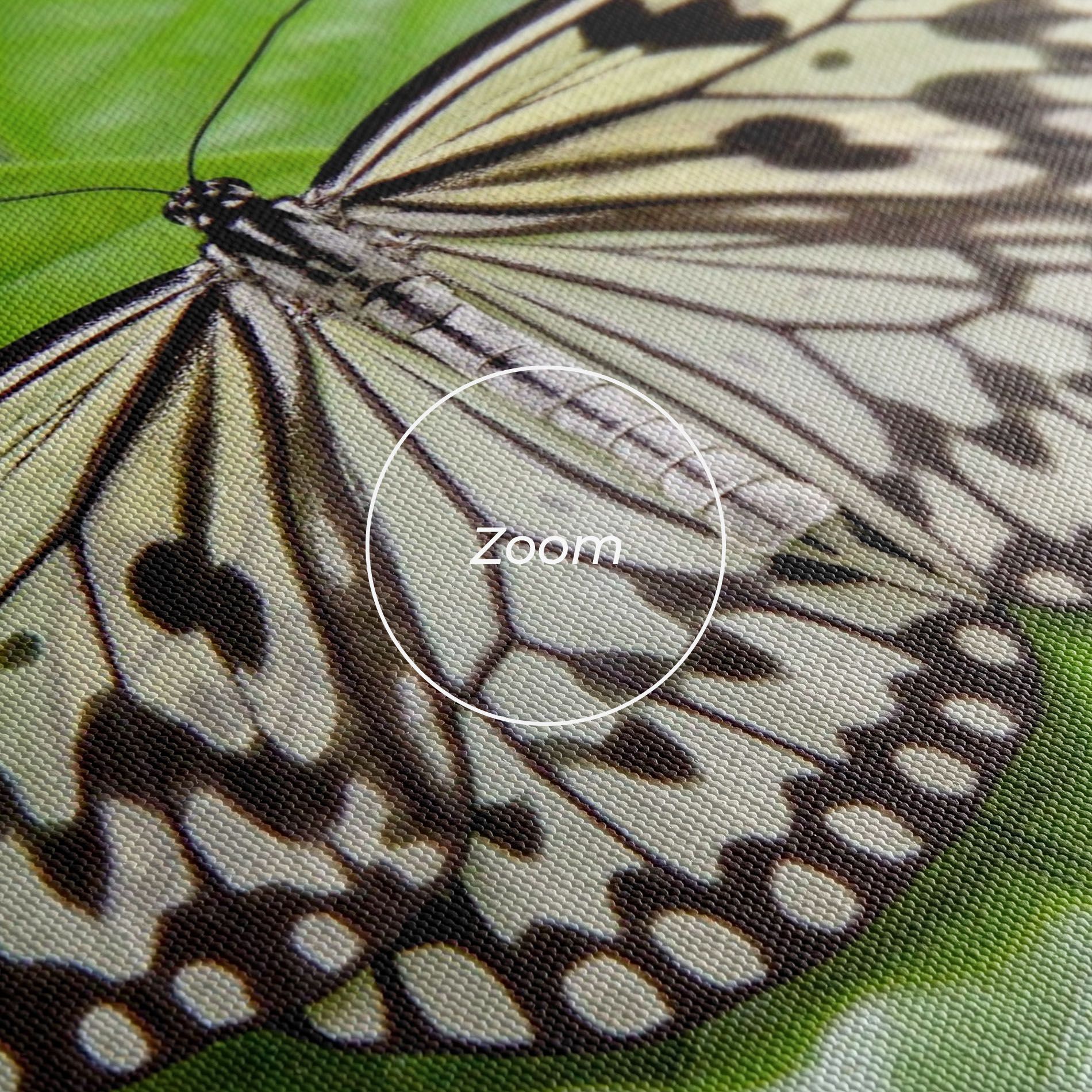 Beautiful White Butterfly mockup 3