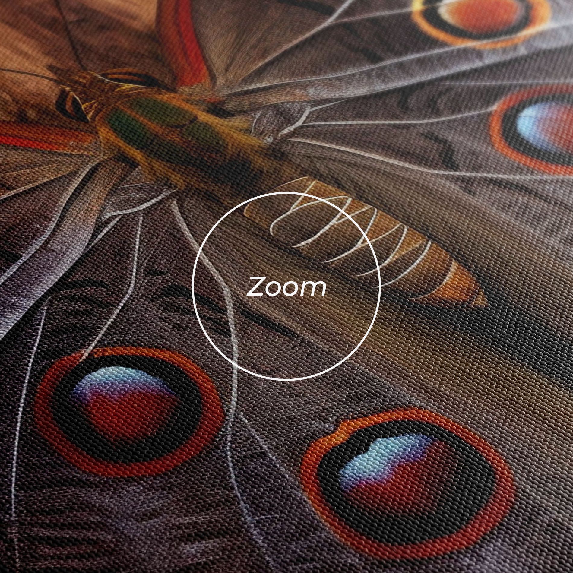 Brown Eyes Butterfly mockup 3