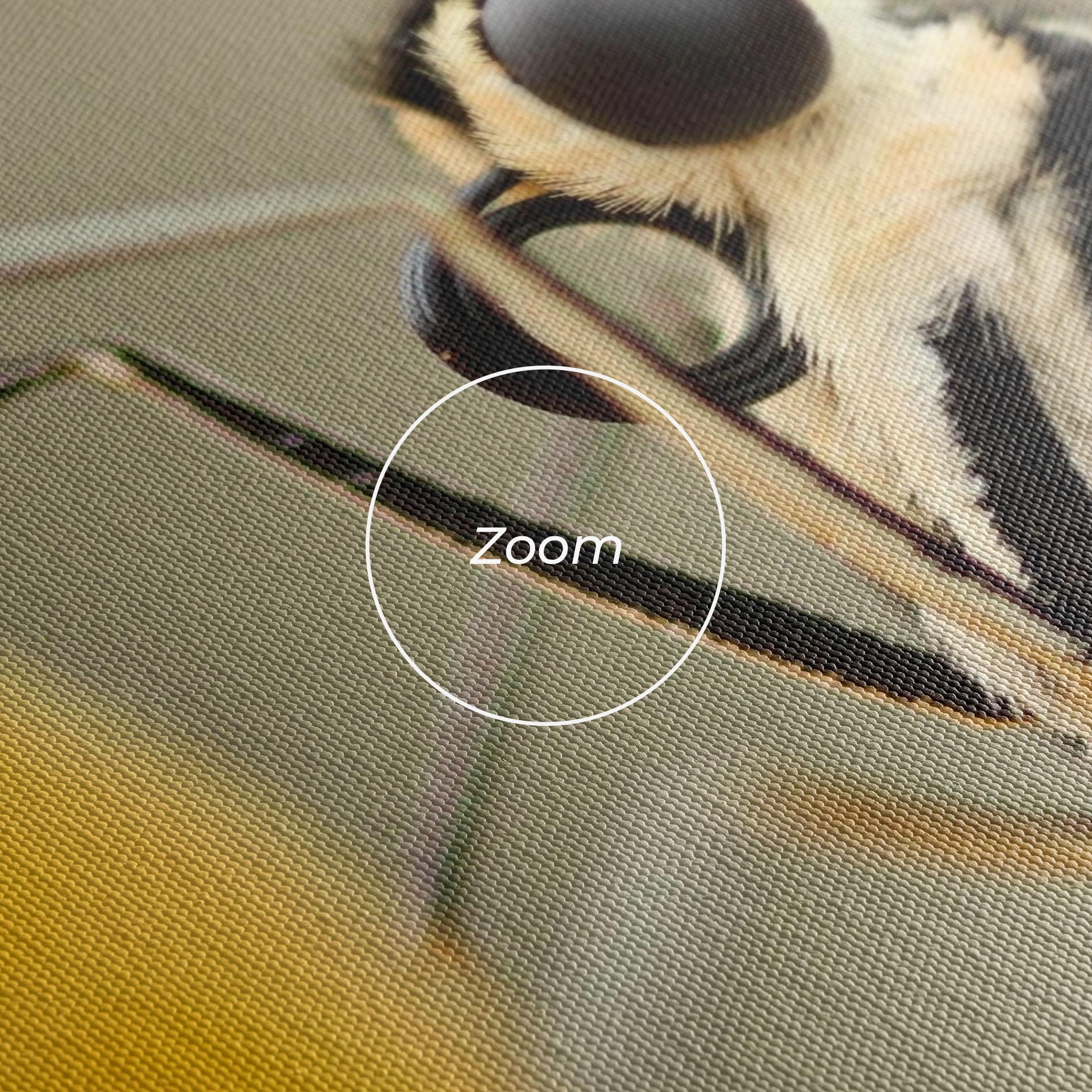 Leinwandbild Close Up Cream Butterfly mockup 3