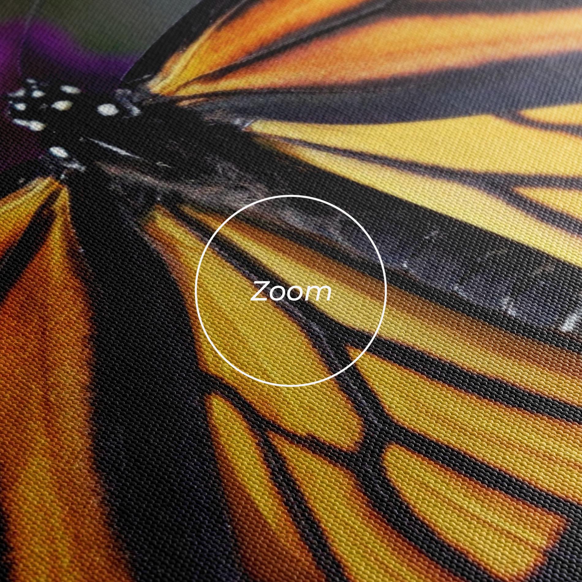 Leinwandbild Open Orange Butterfly mockup 3