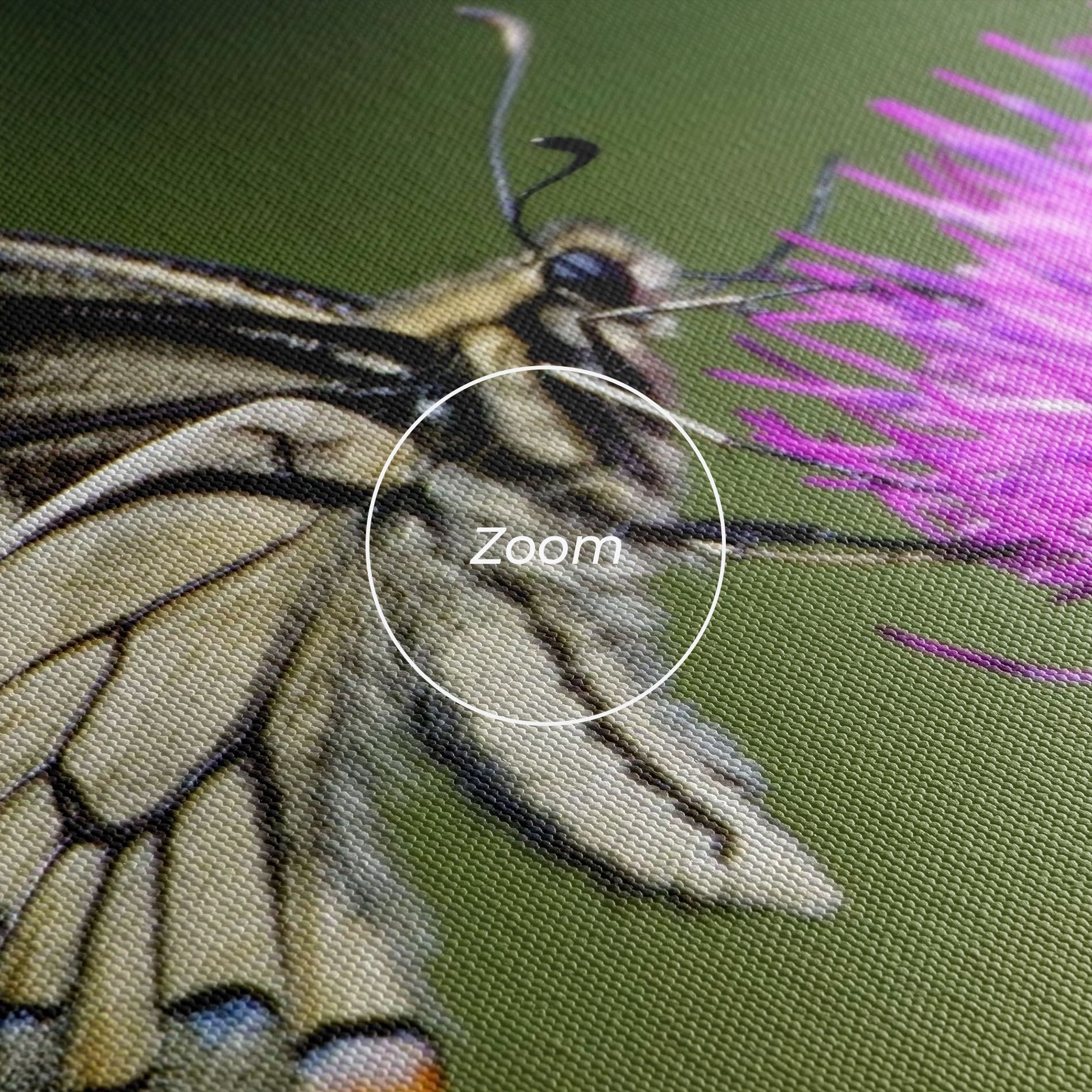 White Butterfly Pollen mockup 3