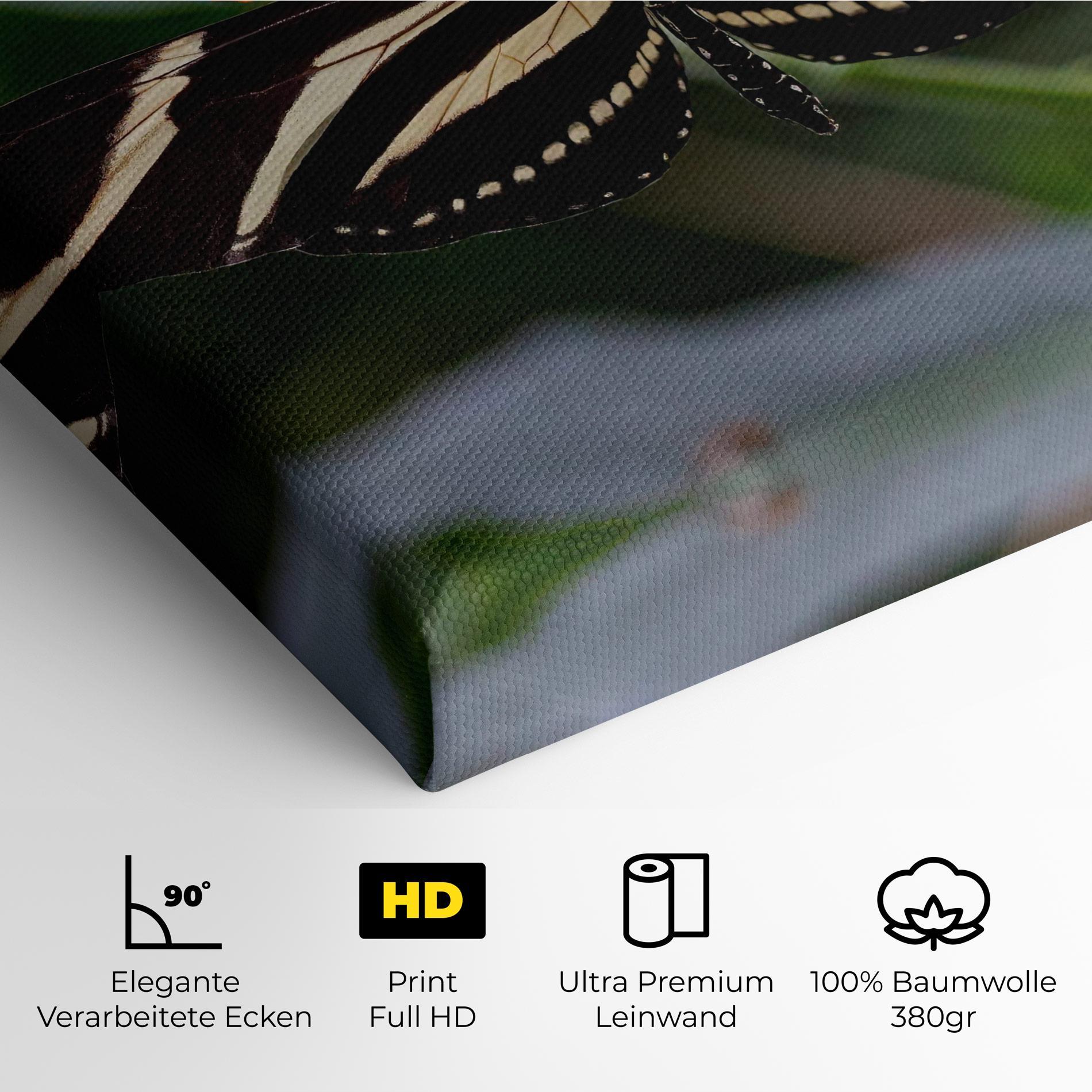 Leinwandbild Big Wings Butterfly mockup 4