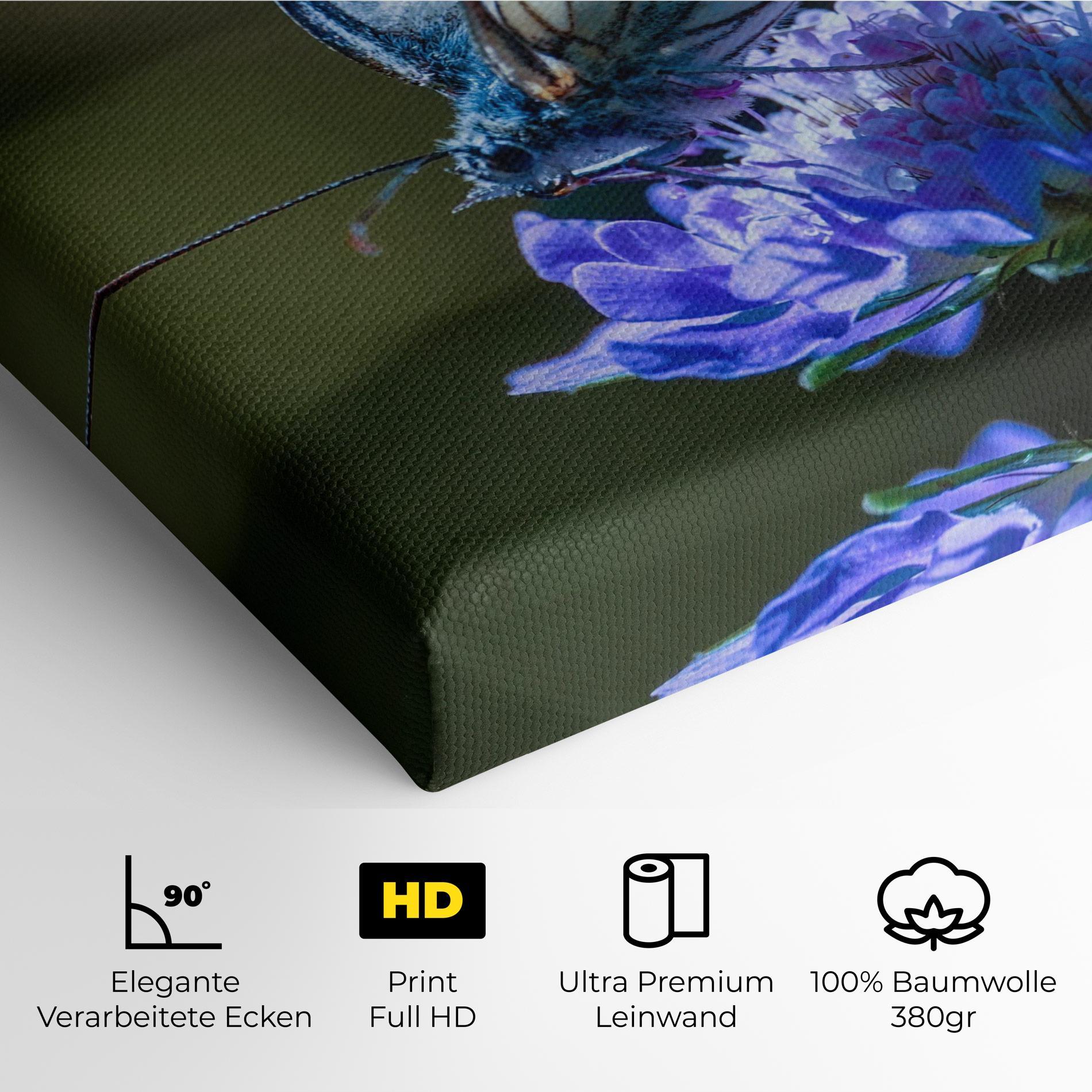 Leinwandbild Blue Butterfly In Nature mockup 4