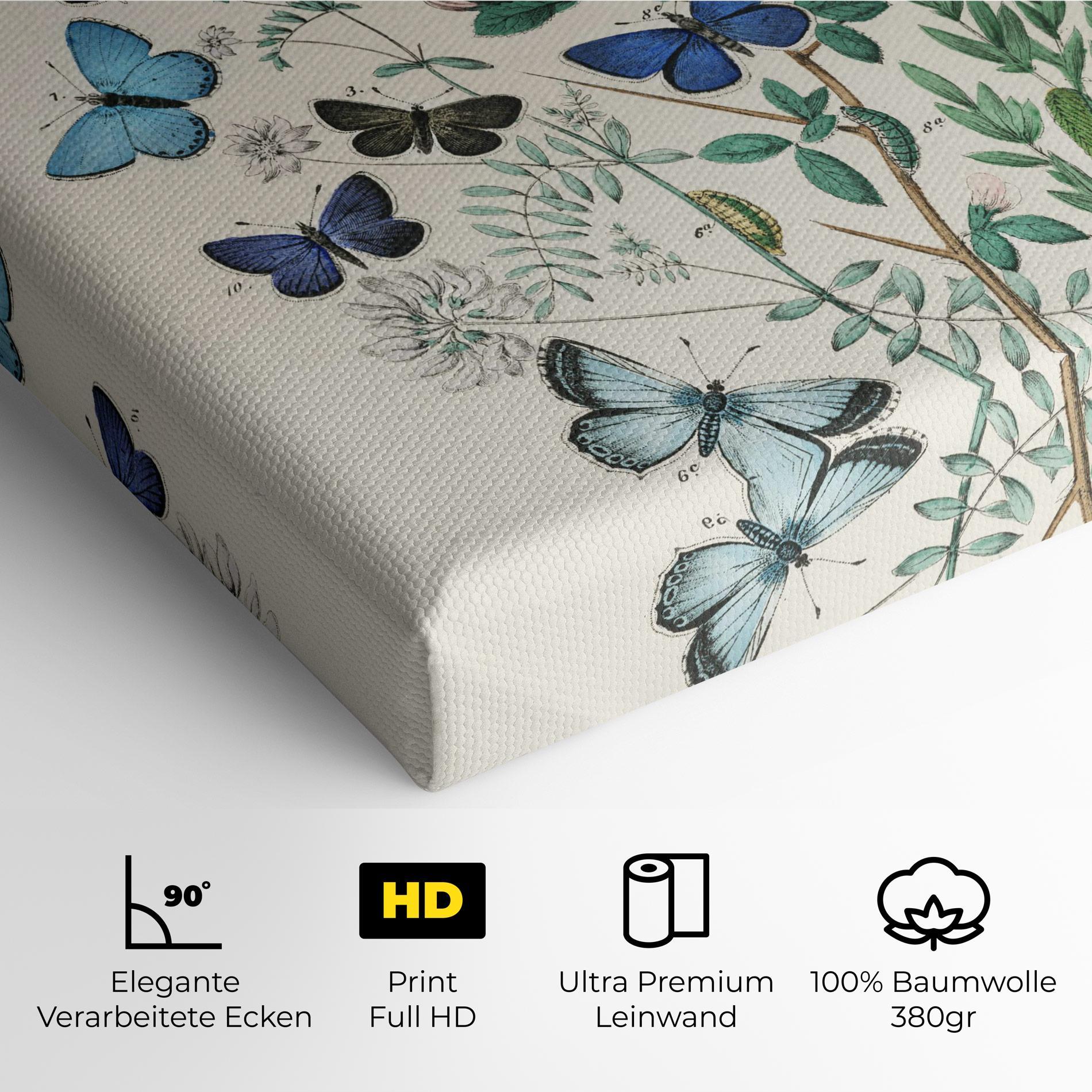 Leinwandbild Blue Orange Butterflies mockup 4