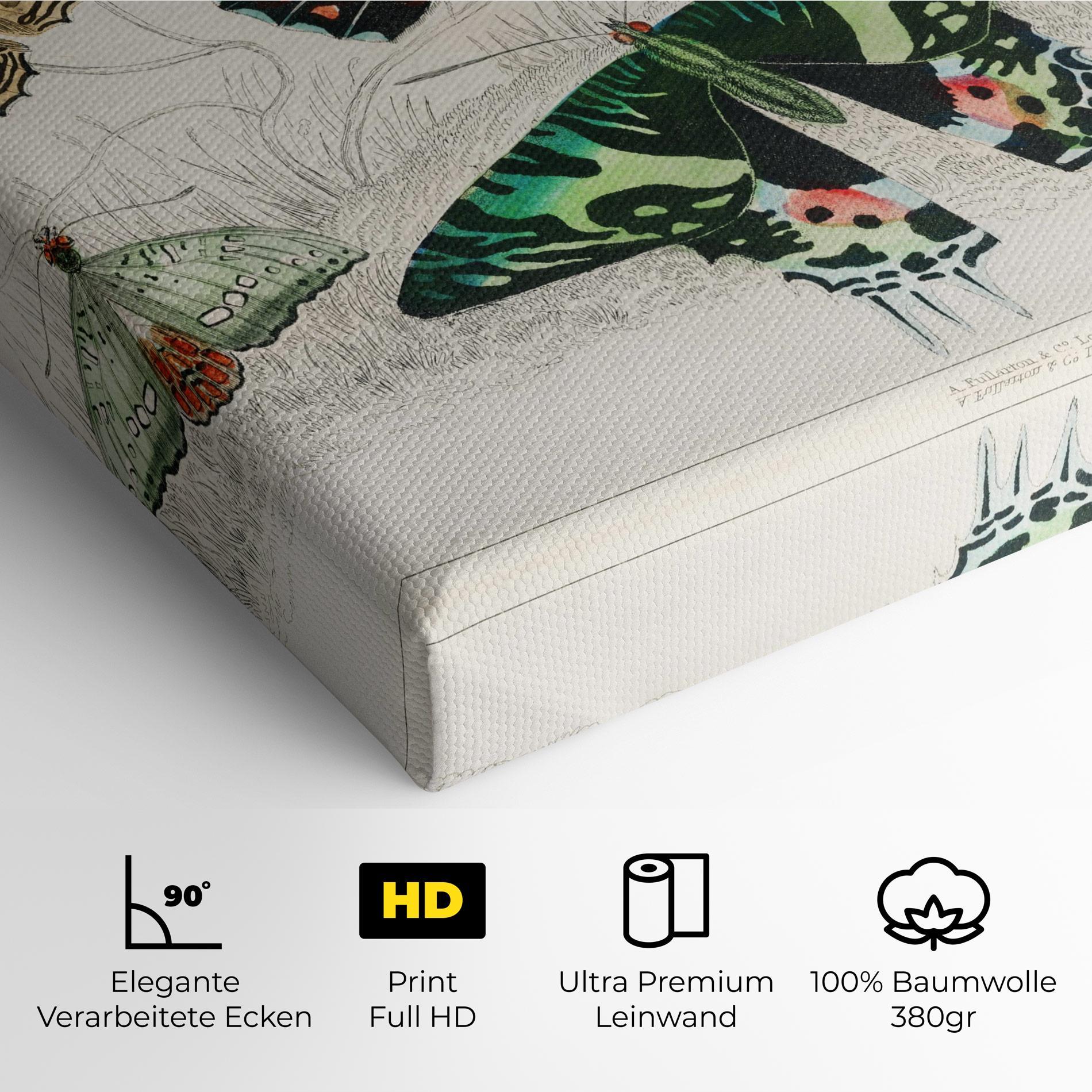 Leinwandbild Butterfly Art mockup 4