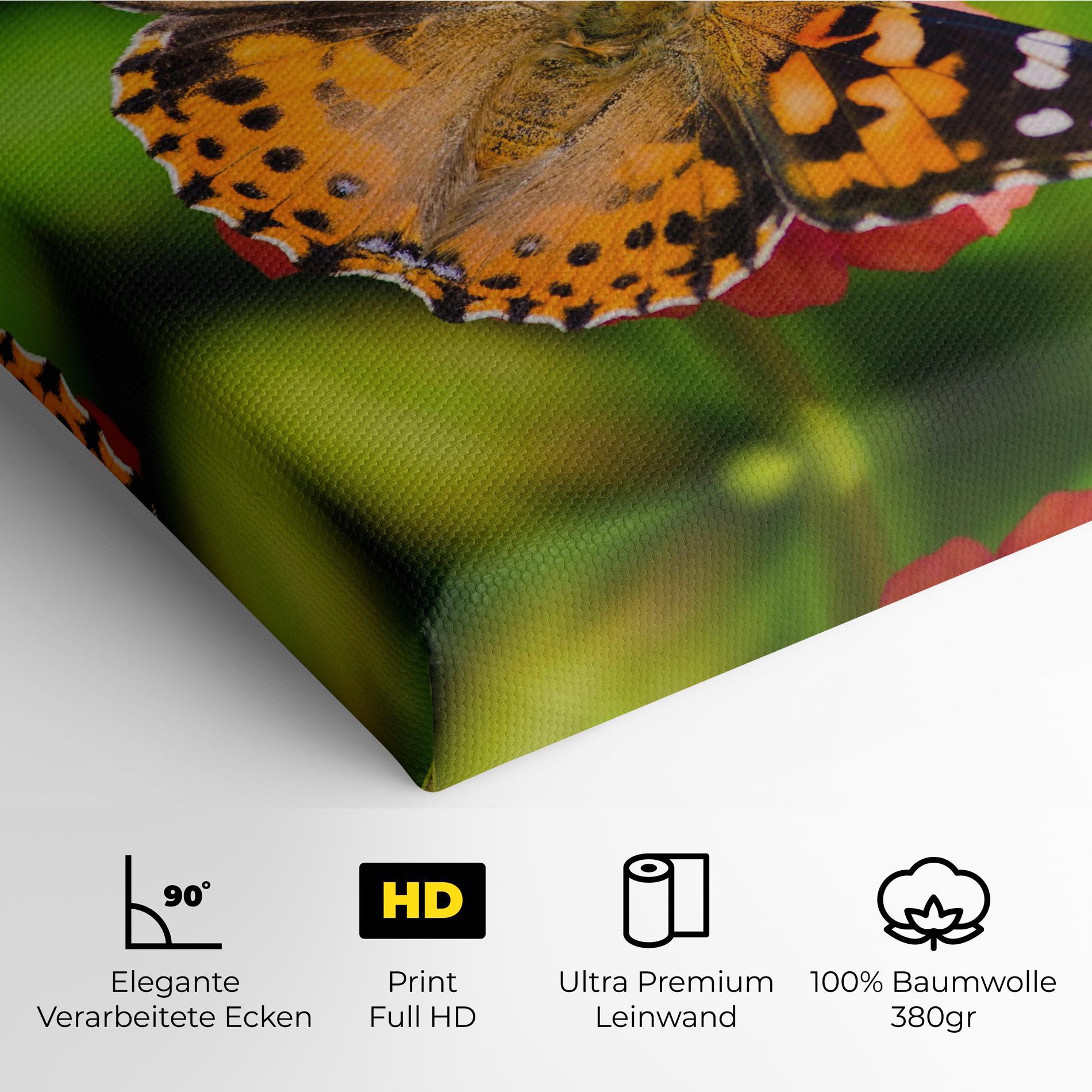 Leinwandbild Butterfly On Flower mockup 4
