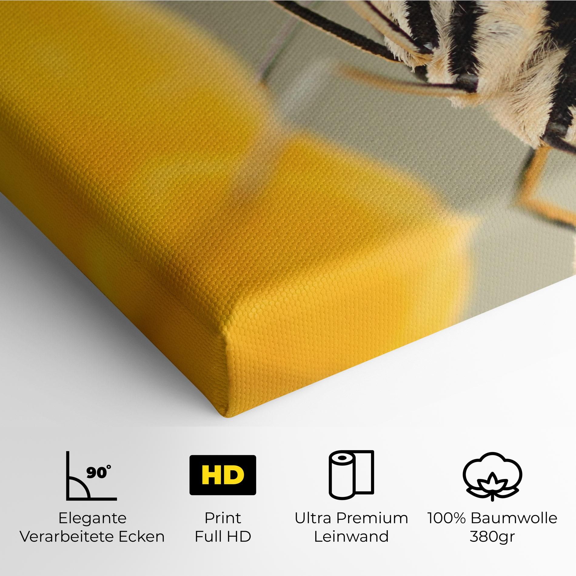 Close Up Cream Butterfly mockup 4