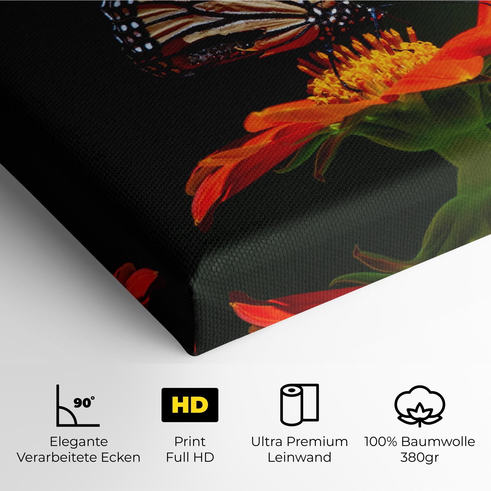 Dark Orange Butterfy mockup 4
