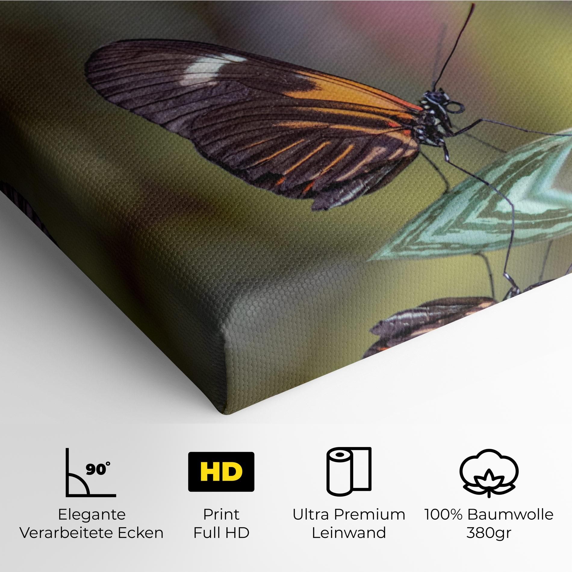 Dark Purple Butterfly mockup 4