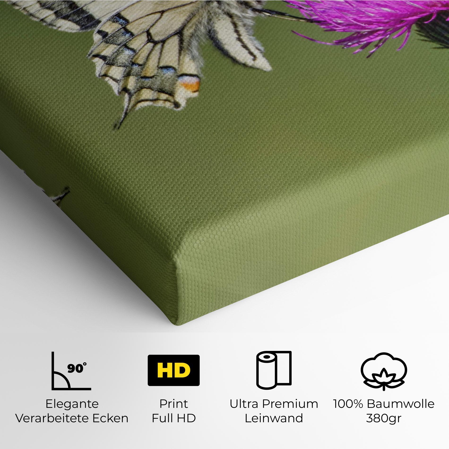 Leinwandbild White Butterfly Pollen mockup 4