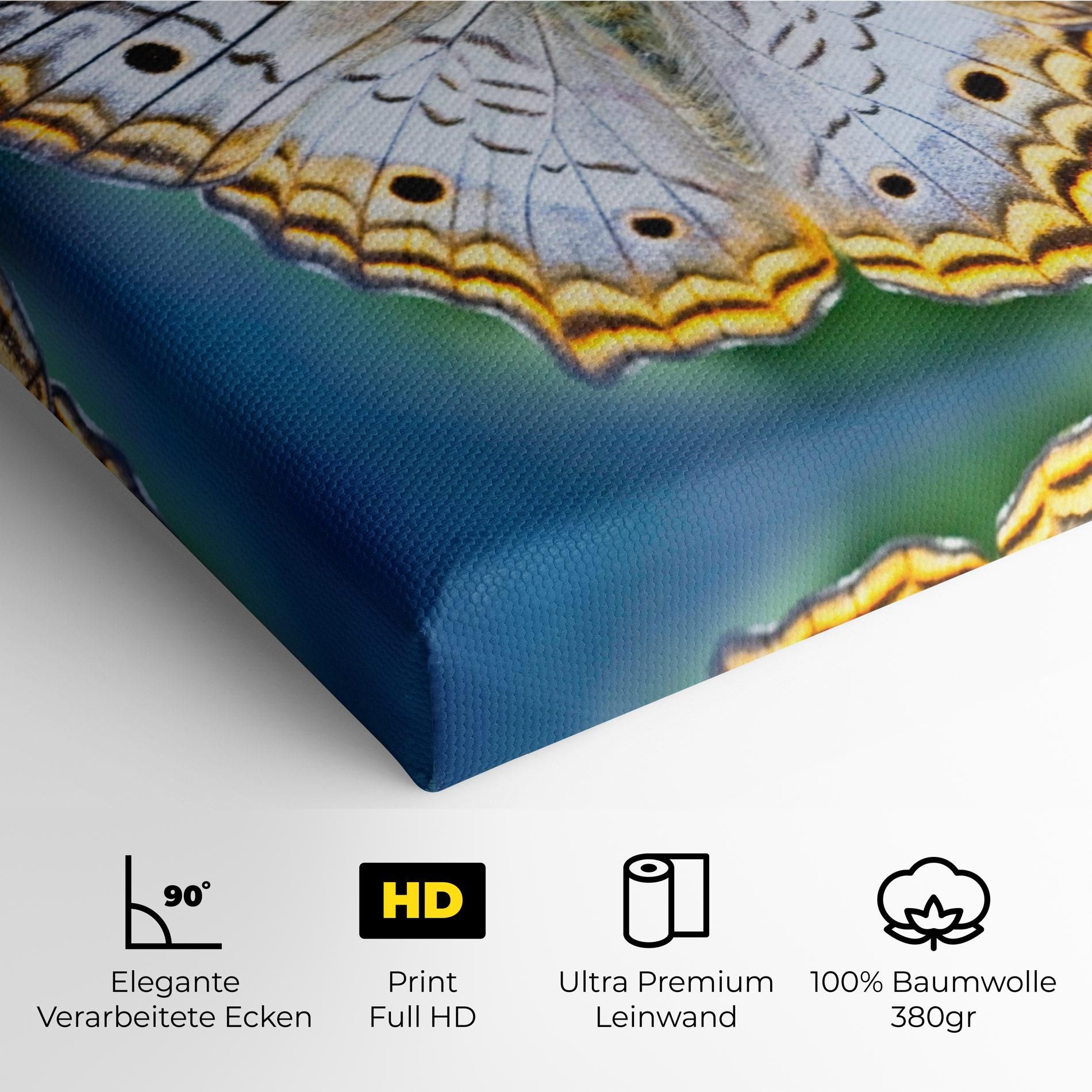 Yellow Grey Butterfly mockup 4