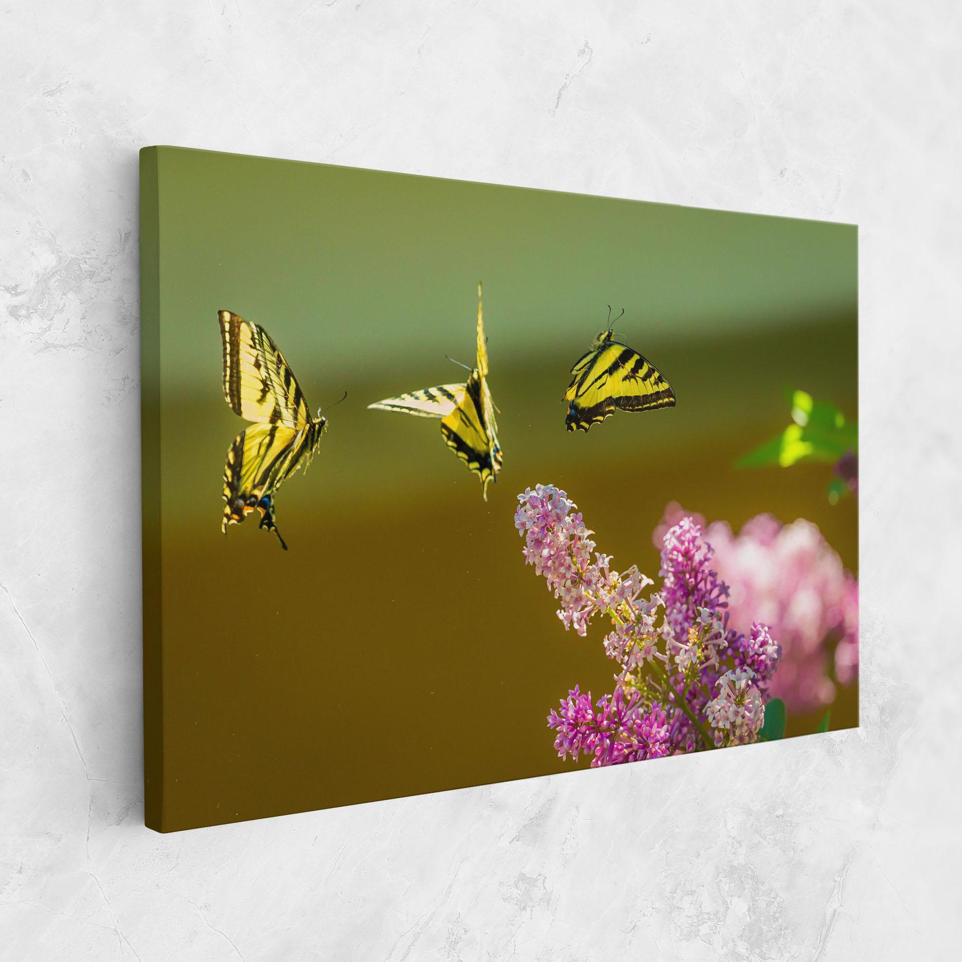 Leinwandbild 3 Yellow Butterflies mockup 1