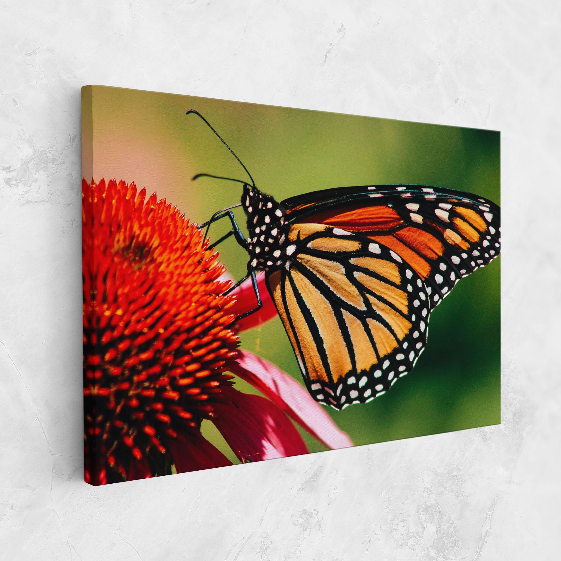 Leinwandbild Big Orange Butterfly mockup 1