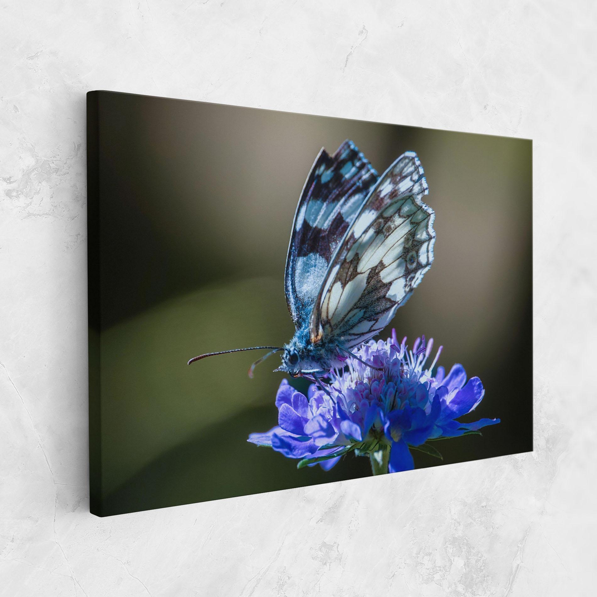 Leinwandbild Blue Butterfly In Nature mockup 1