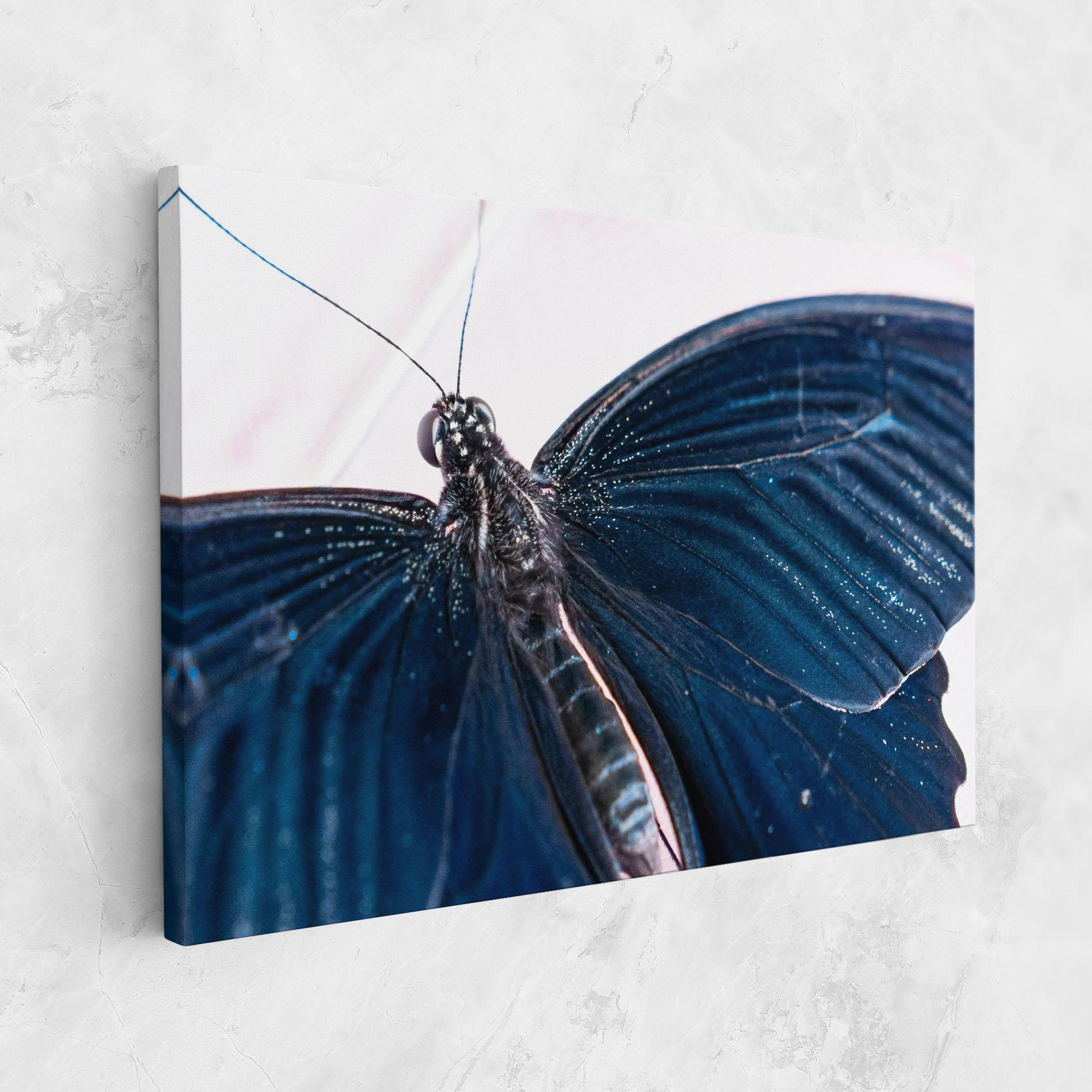 Leinwandbild Blue Butterfly mockup 1