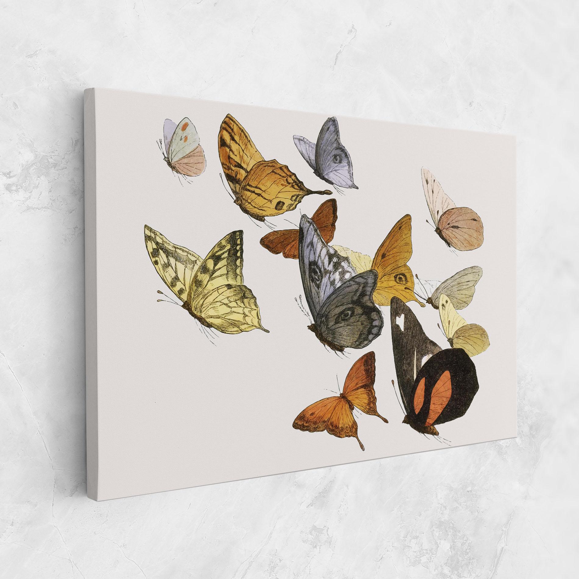 Leinwandbild Butterfly Floating mockup 1