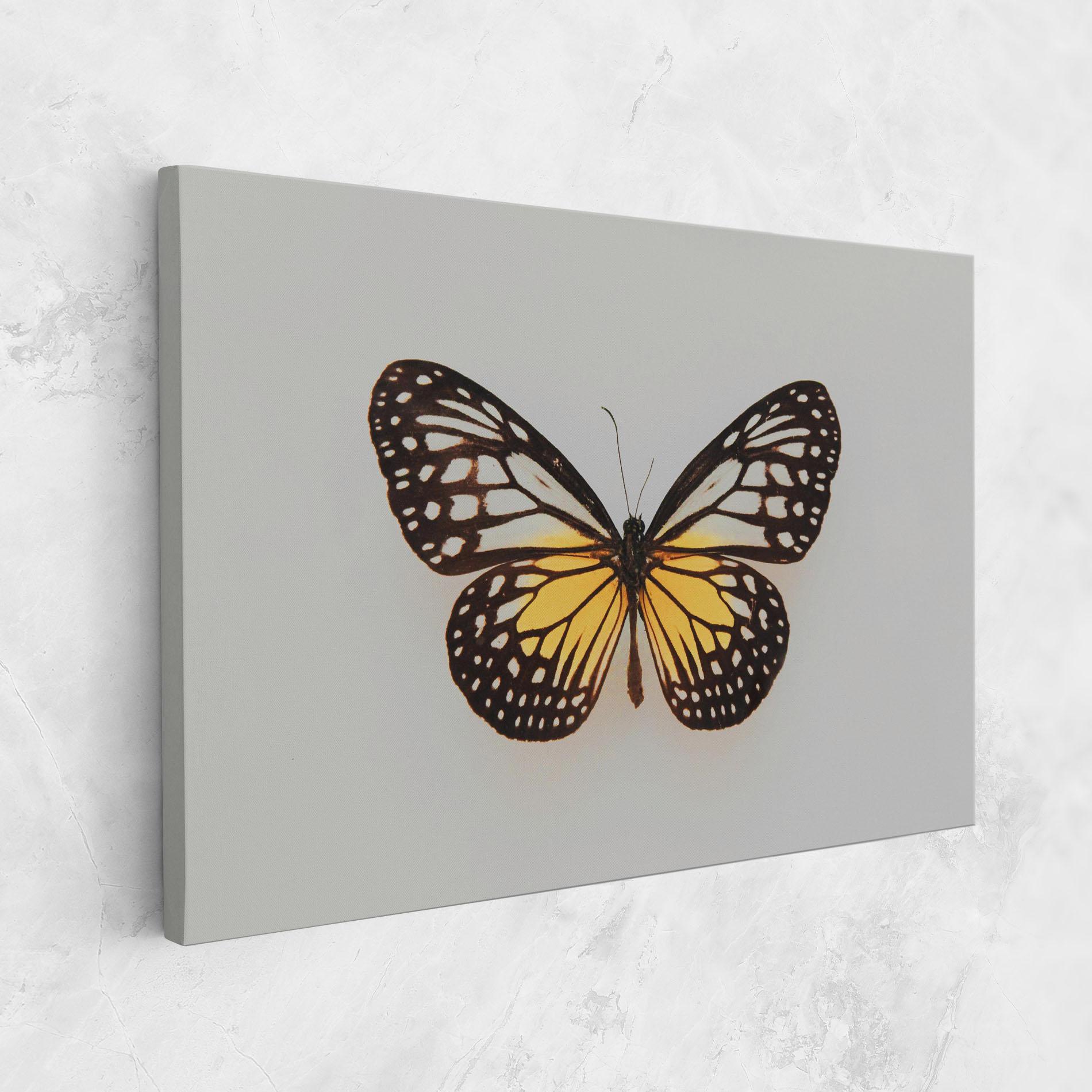 Leinwandbild Butterfly On Grey mockup 1