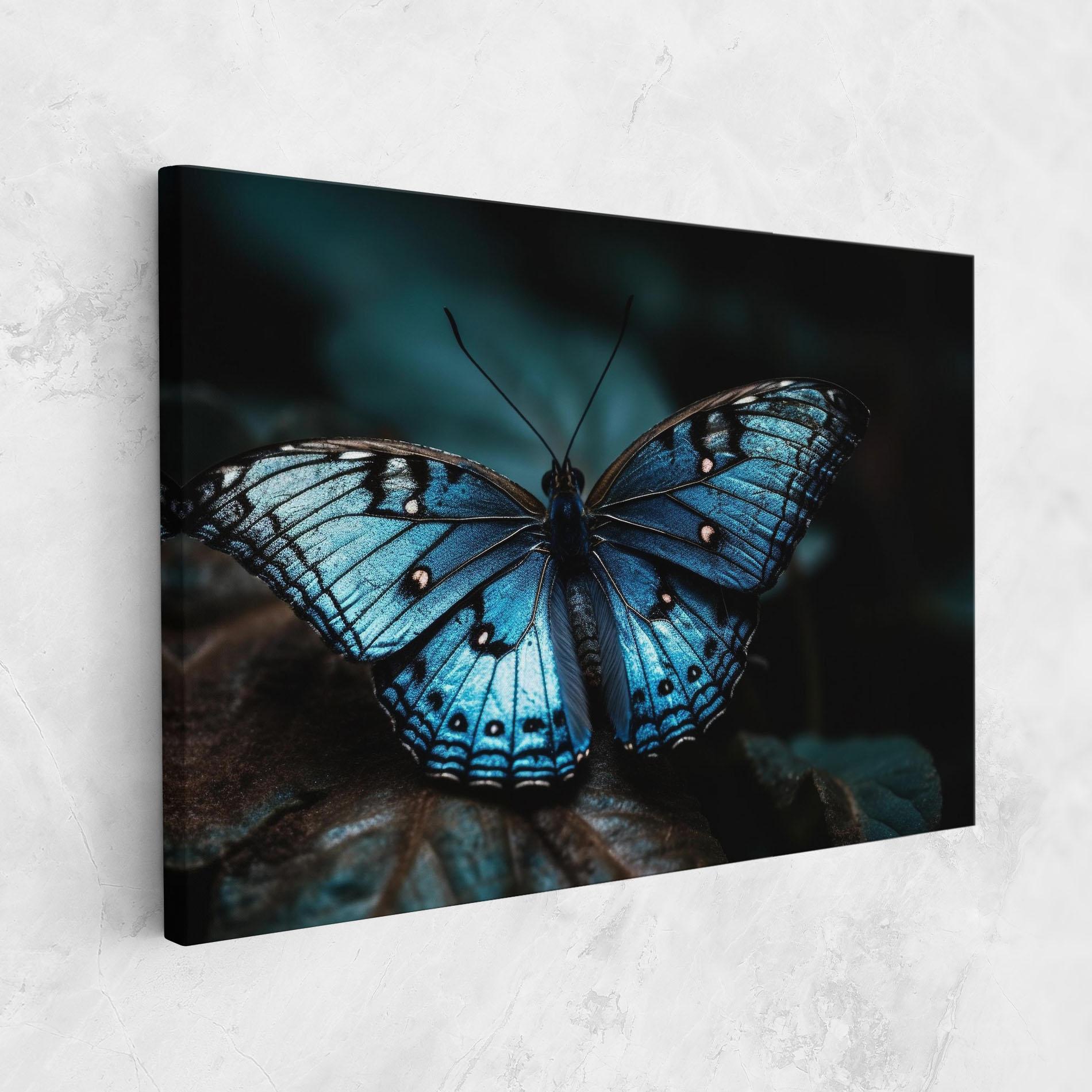 Leinwandbild Dark Blue Buterfly mockup 1