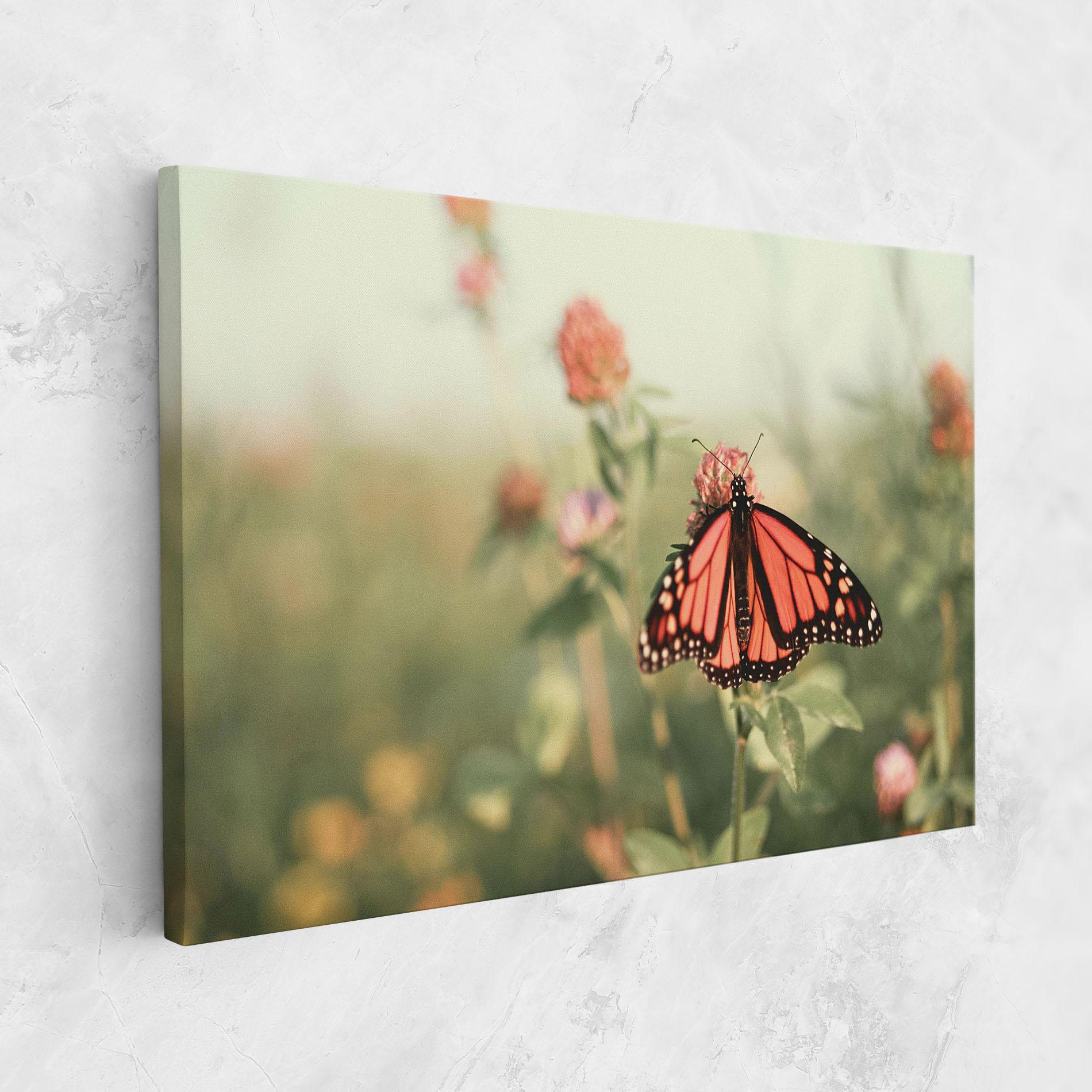 Leinwandbild Light Red Butterfly mockup 1